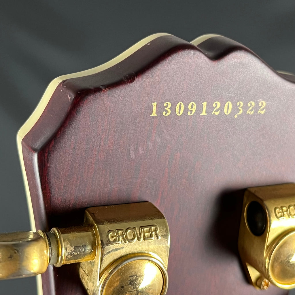 Epiphone Les Paul Custom Prophecy Plus 2013