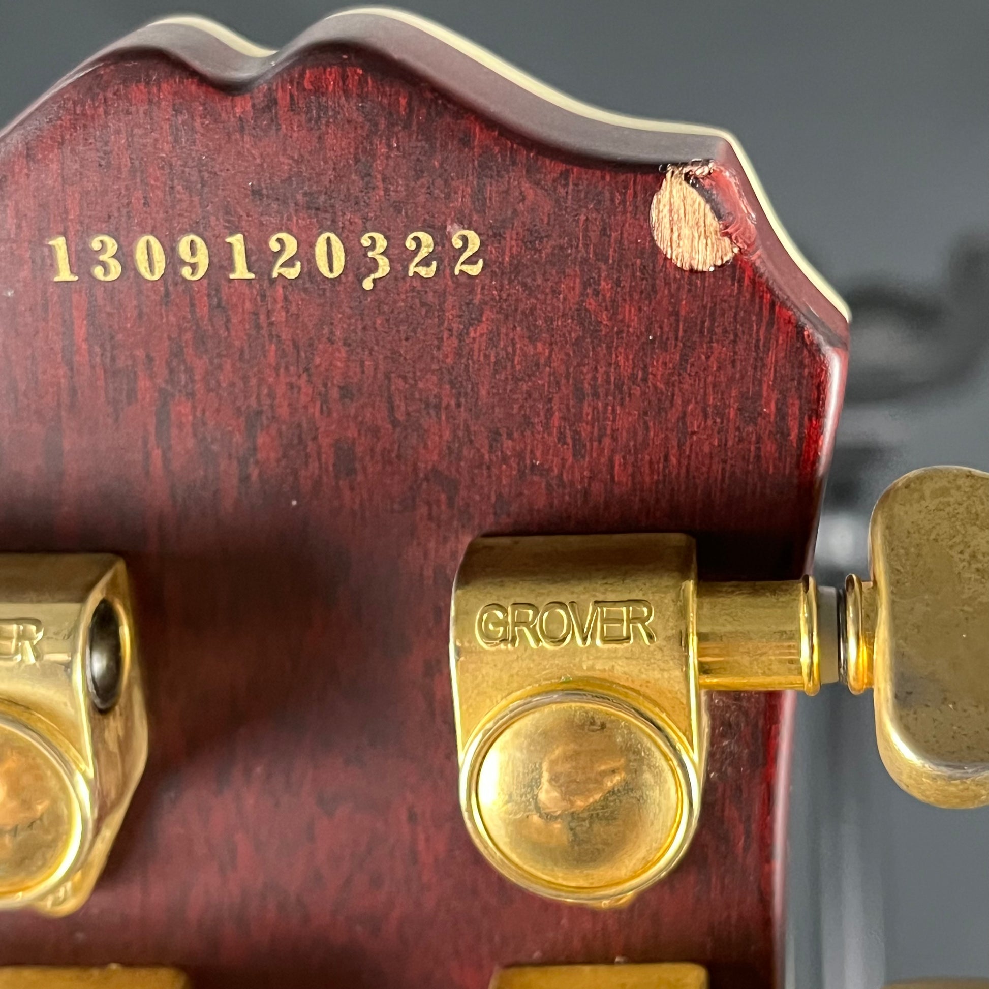 Epiphone Les Paul Custom Prophecy Plus 2013