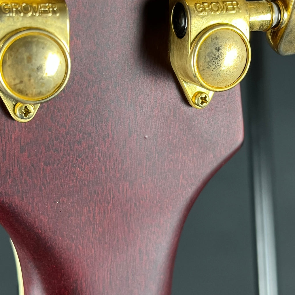 Epiphone Les Paul Custom Prophecy Plus 2013