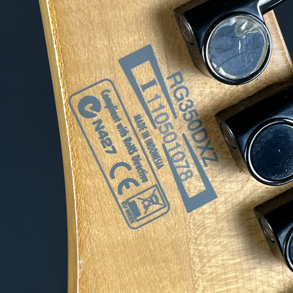 Ibanez RG350DX 2011
