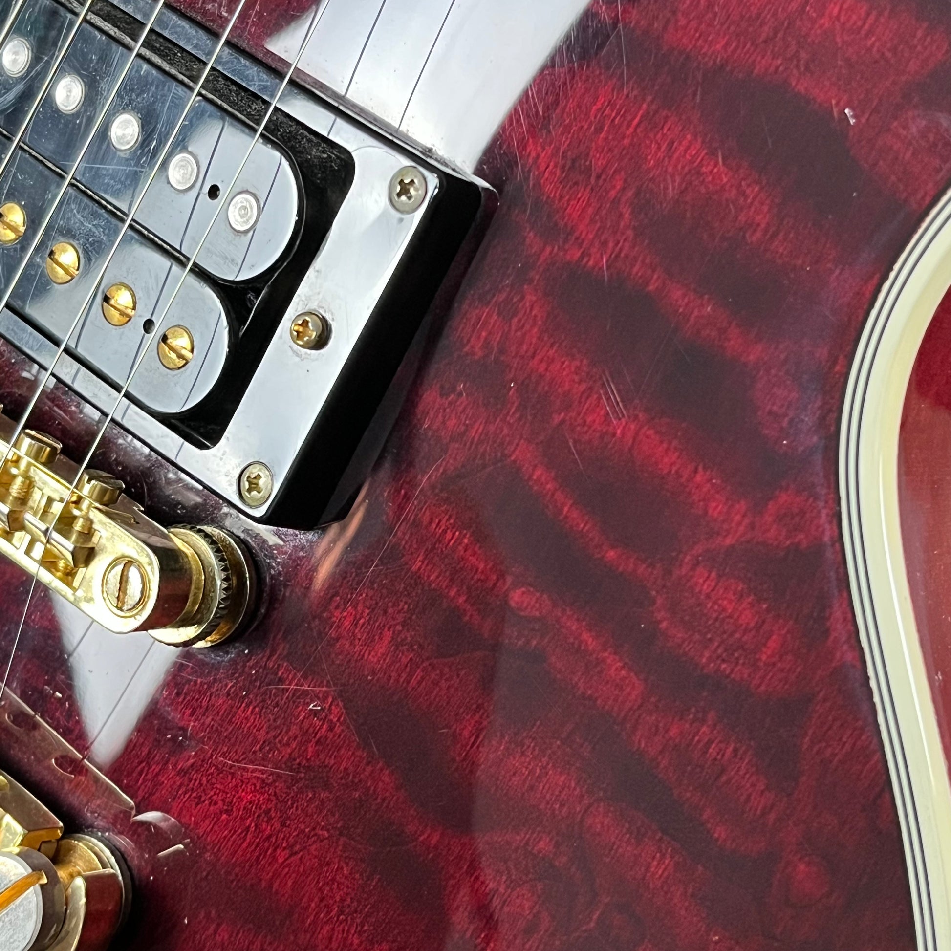 Epiphone Les Paul Custom Prophecy Plus 2013