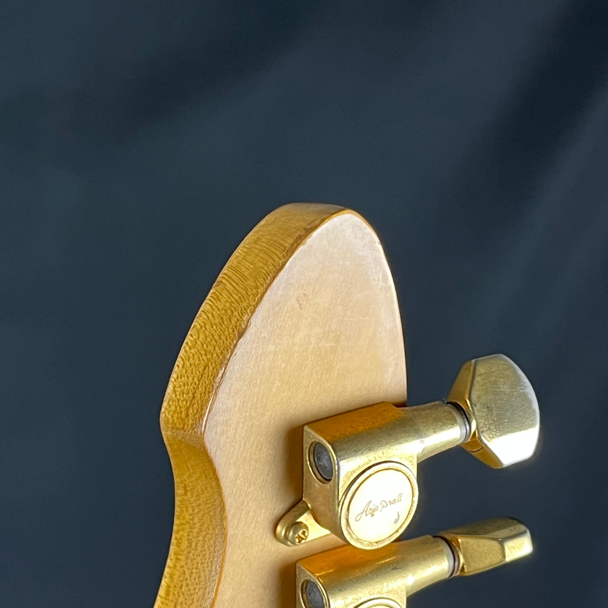Aria Pro II Magna Series