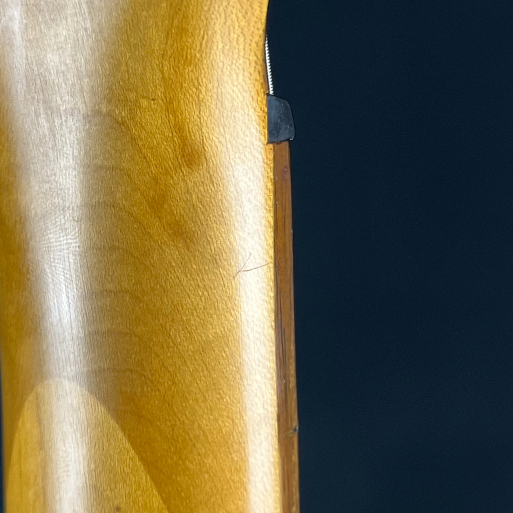 Aria Pro II Magna Series