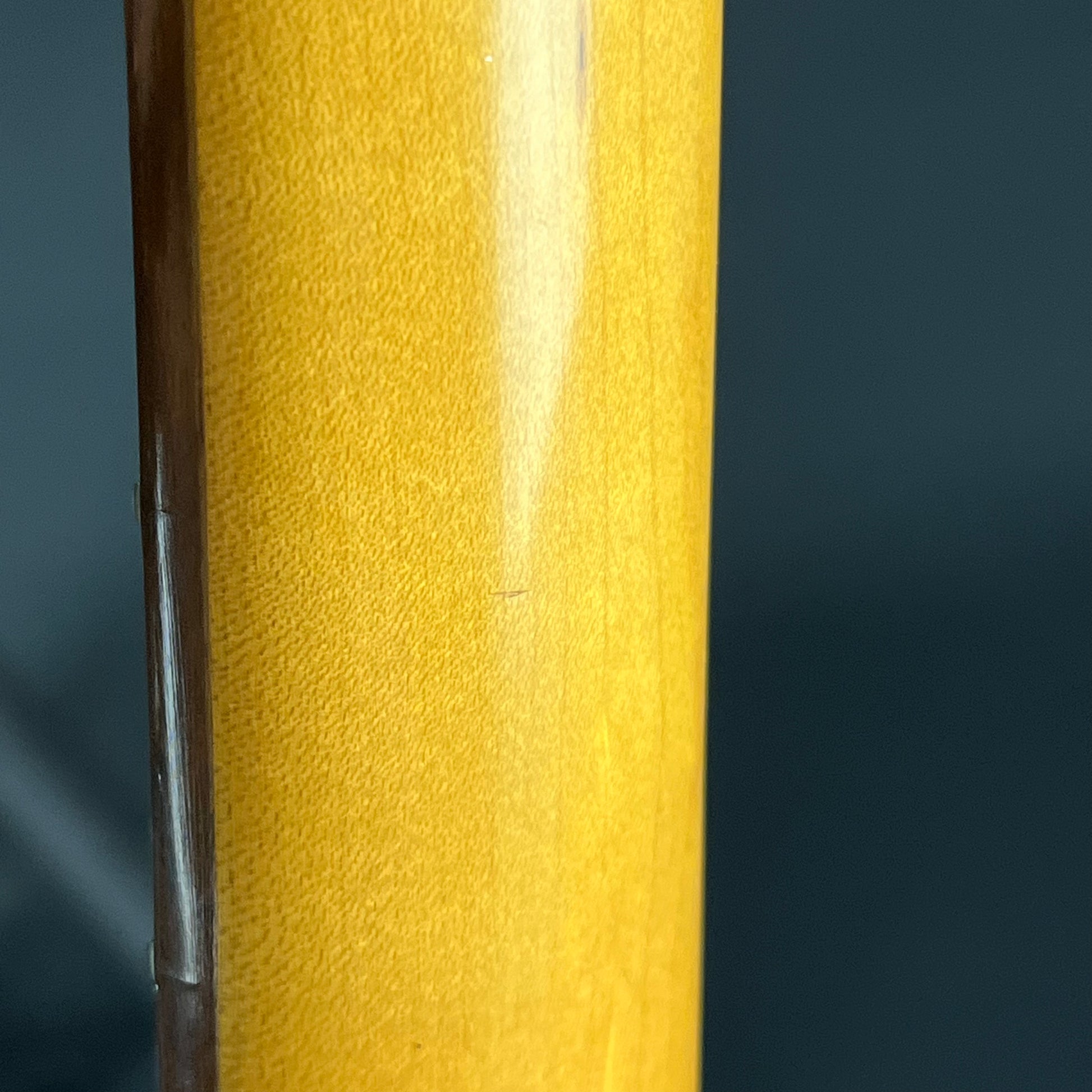Aria Pro II Magna Series