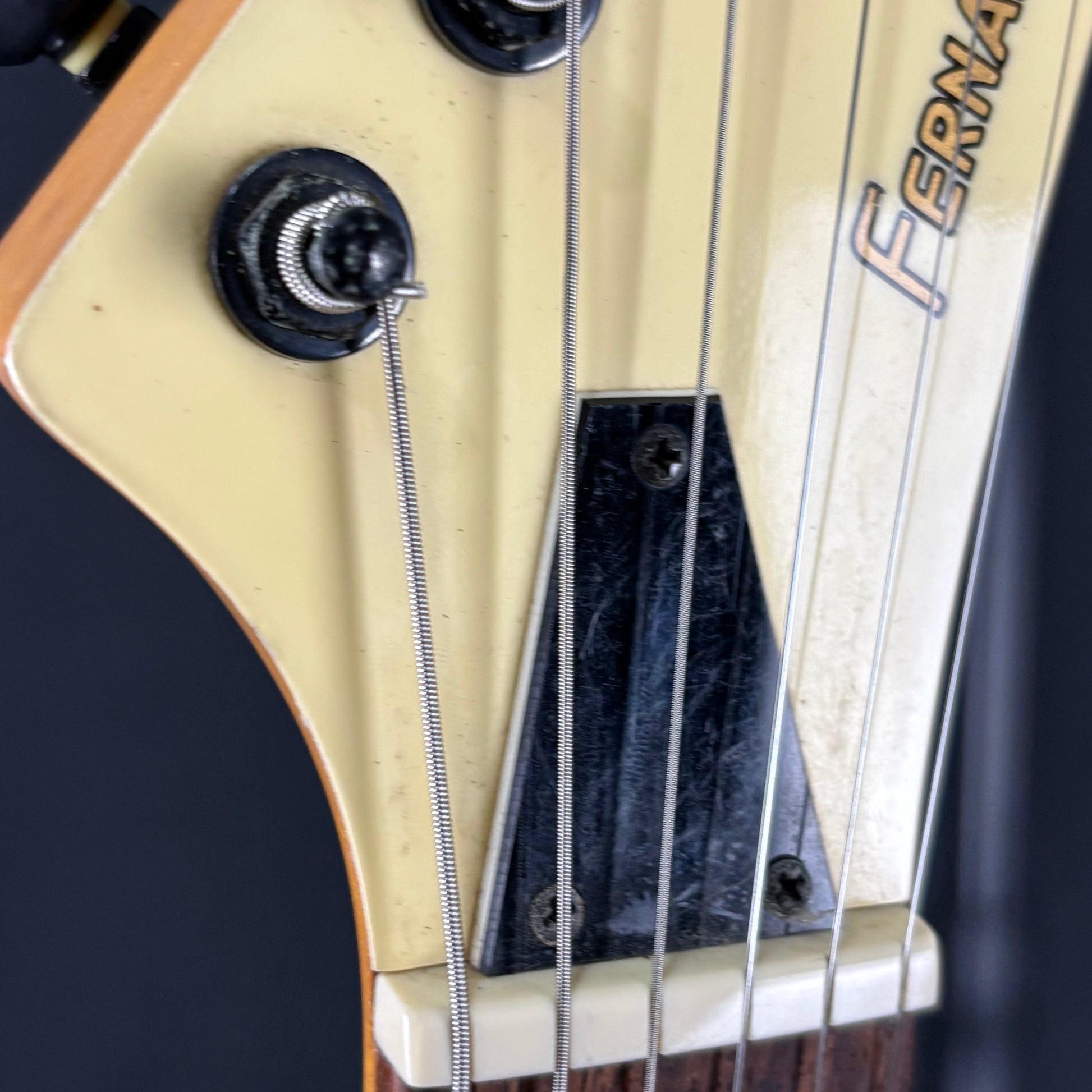 Fernandes STJ-80BT