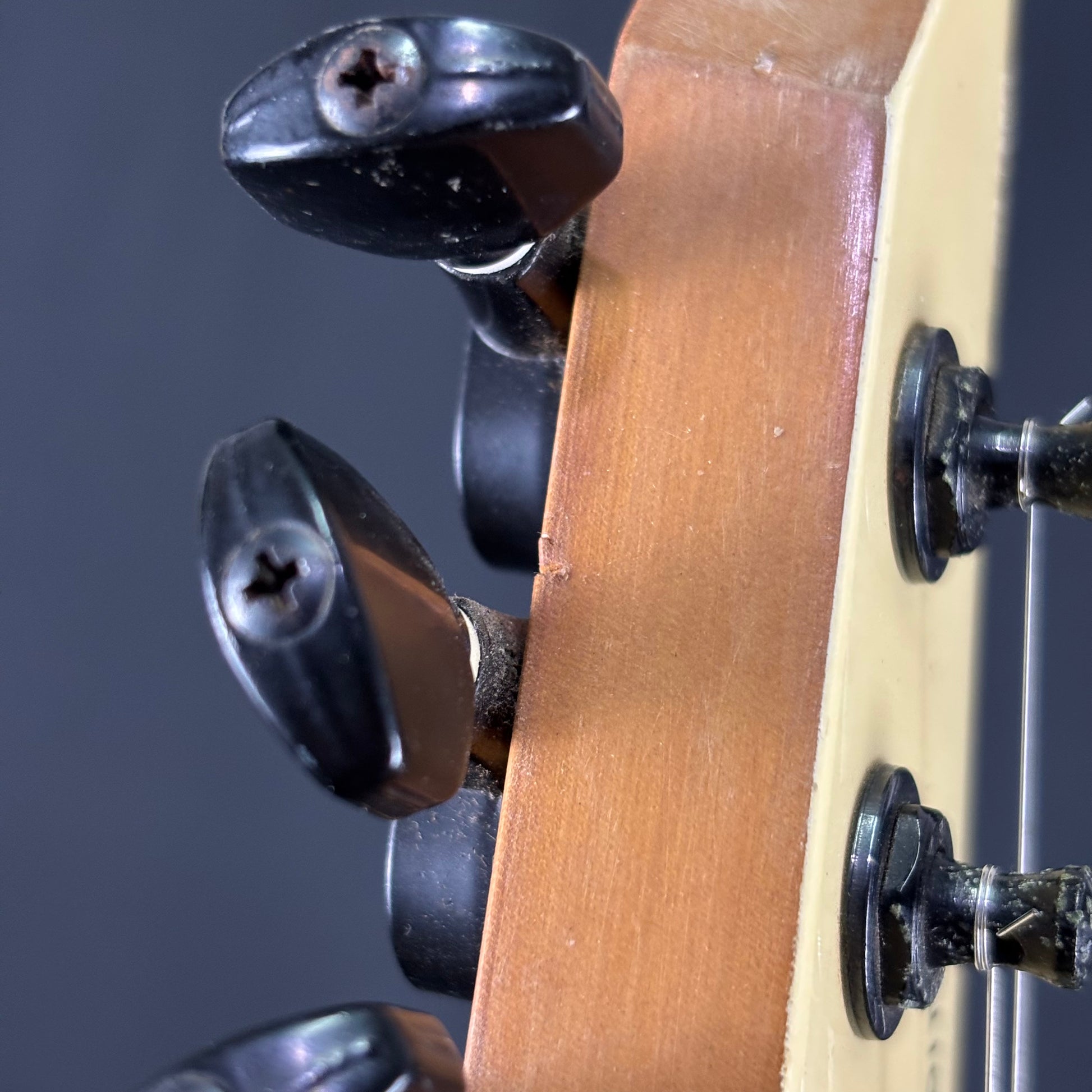 Fernandes STJ-80BT