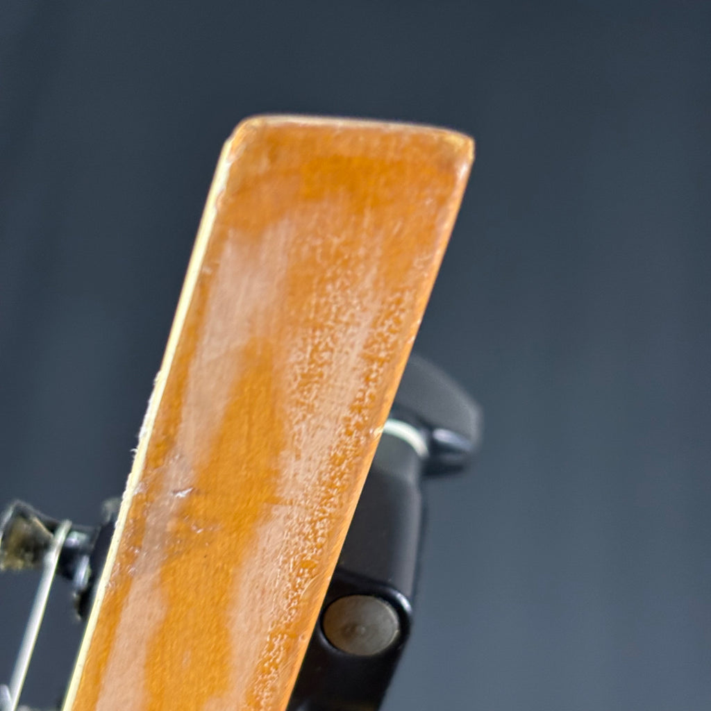 Fernandes STJ-80BT