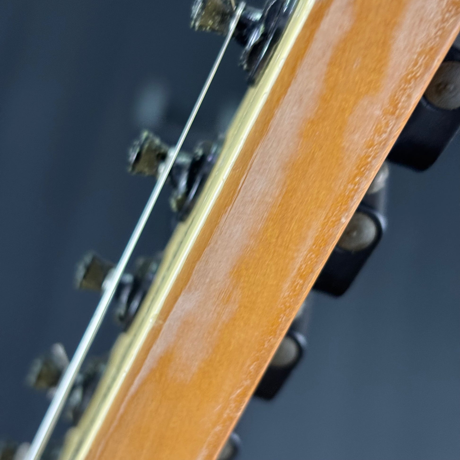Fernandes STJ-80BT