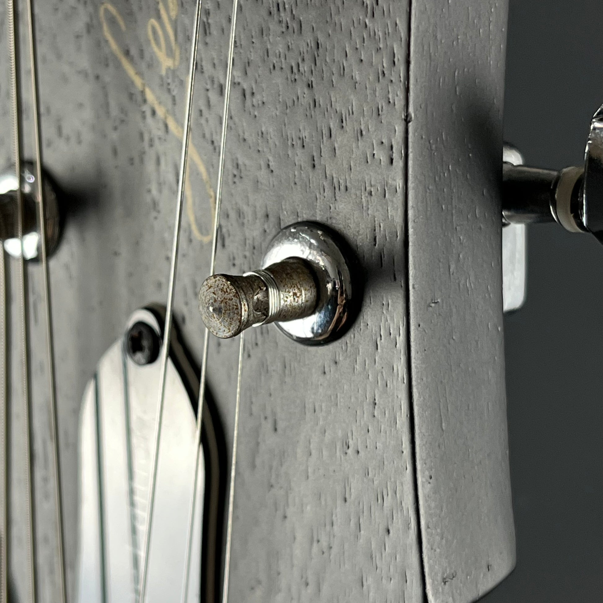 Epiphone Les Paul Special VE