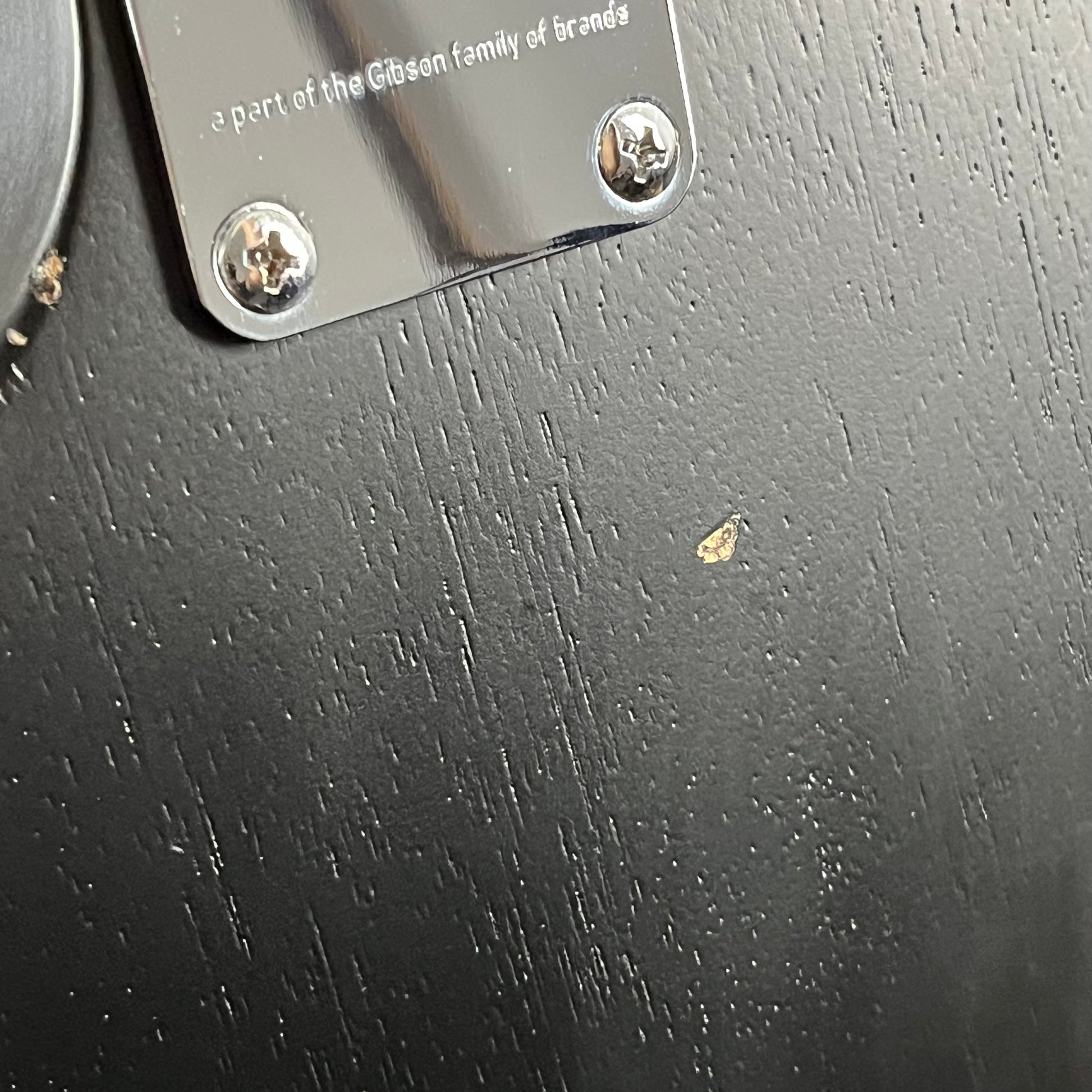 Epiphone Les Paul Special VE