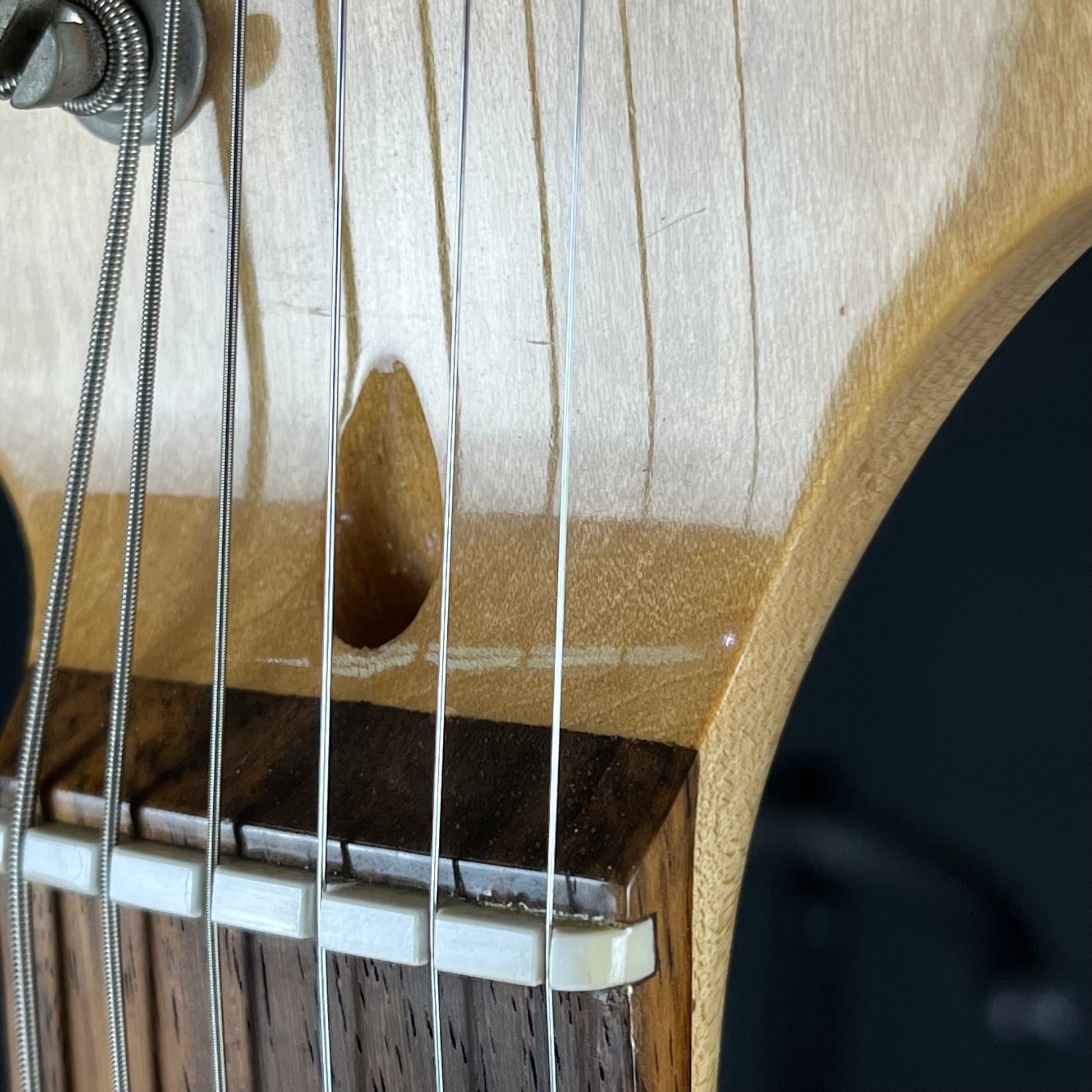 Fernandes Stratocaster
