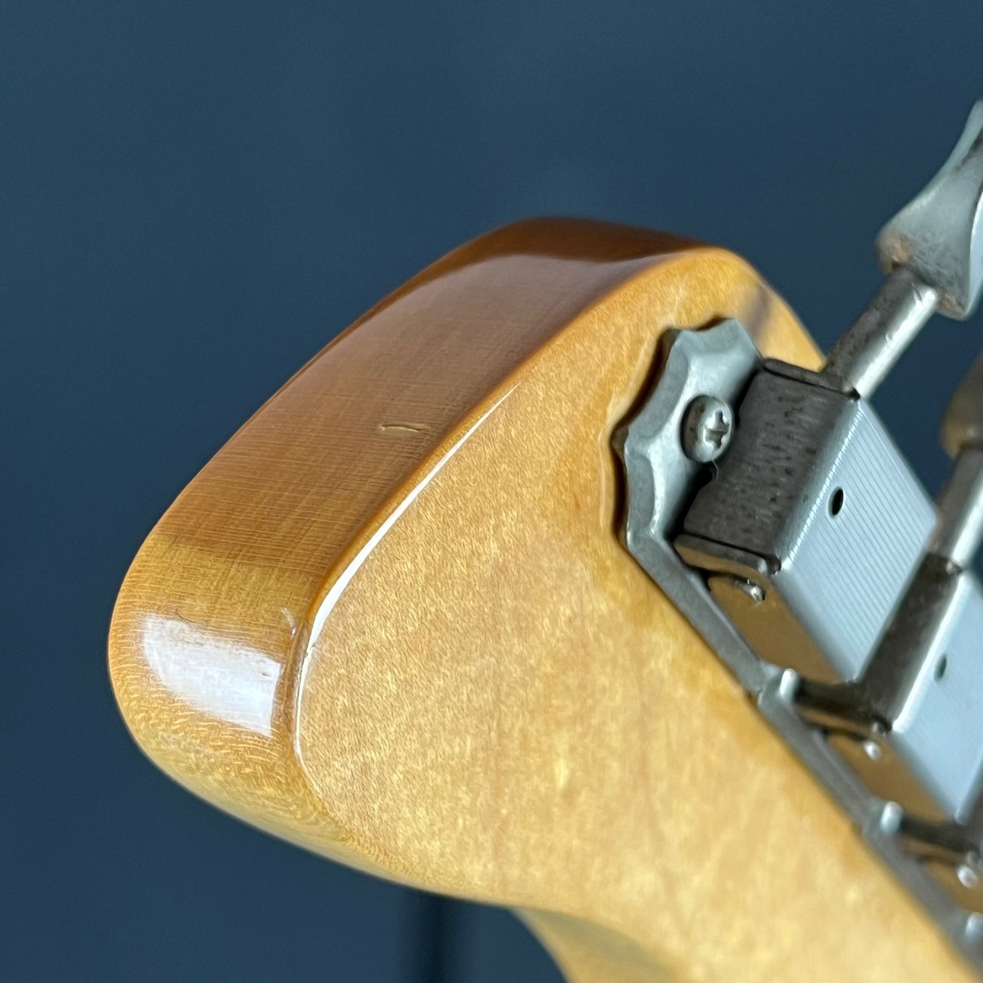 Fernandes Stratocaster