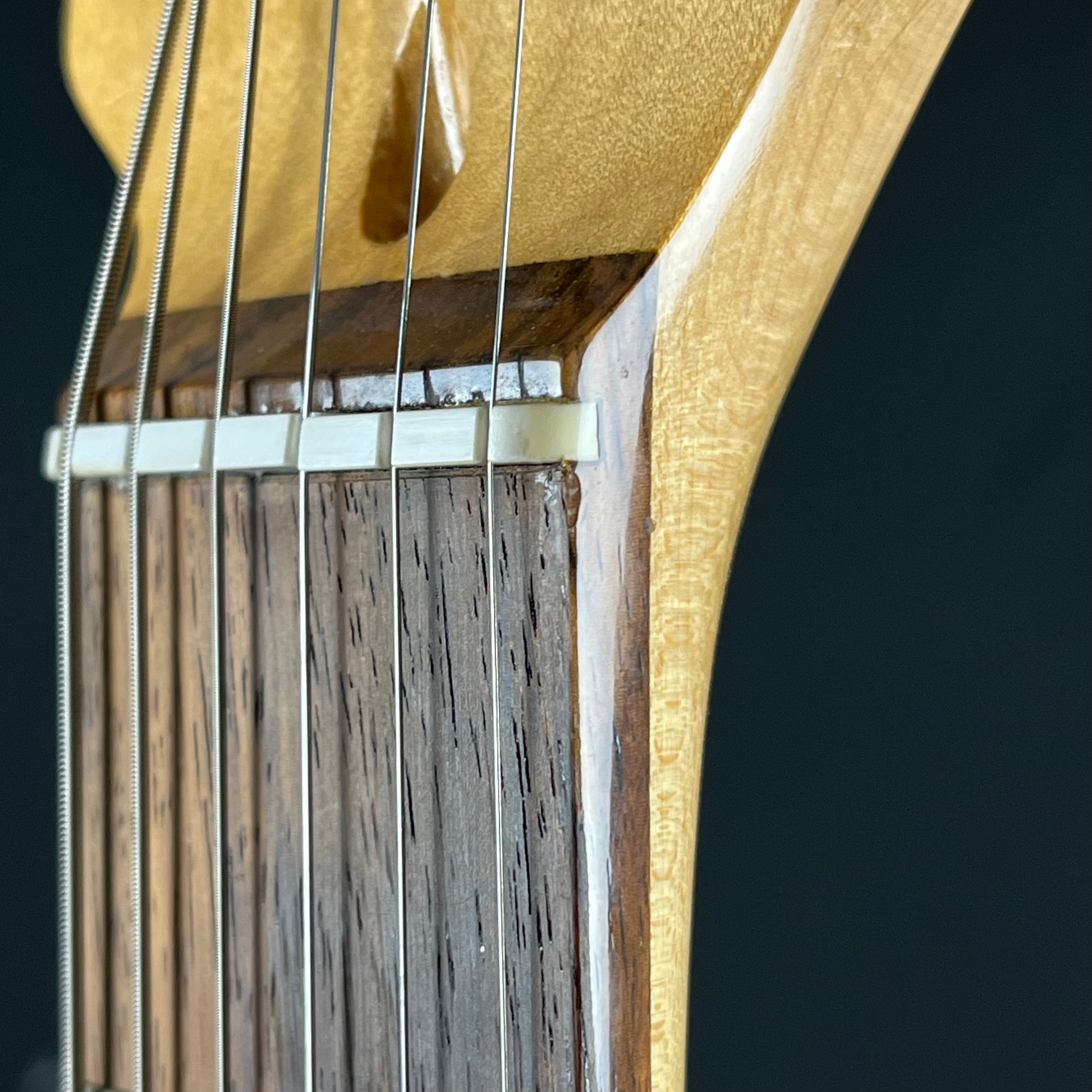 Fernandes Stratocaster