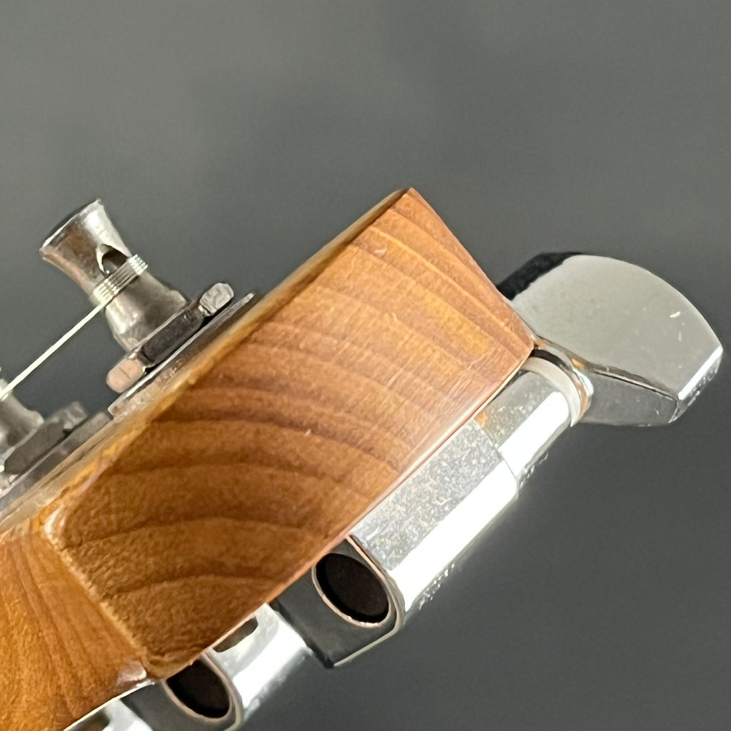 Bacchus BTE-2 RSM/M