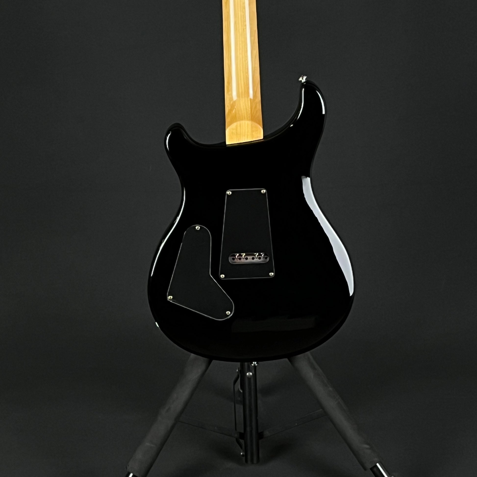 PRS SE Custom 24 Roasted Maple LTD 2019