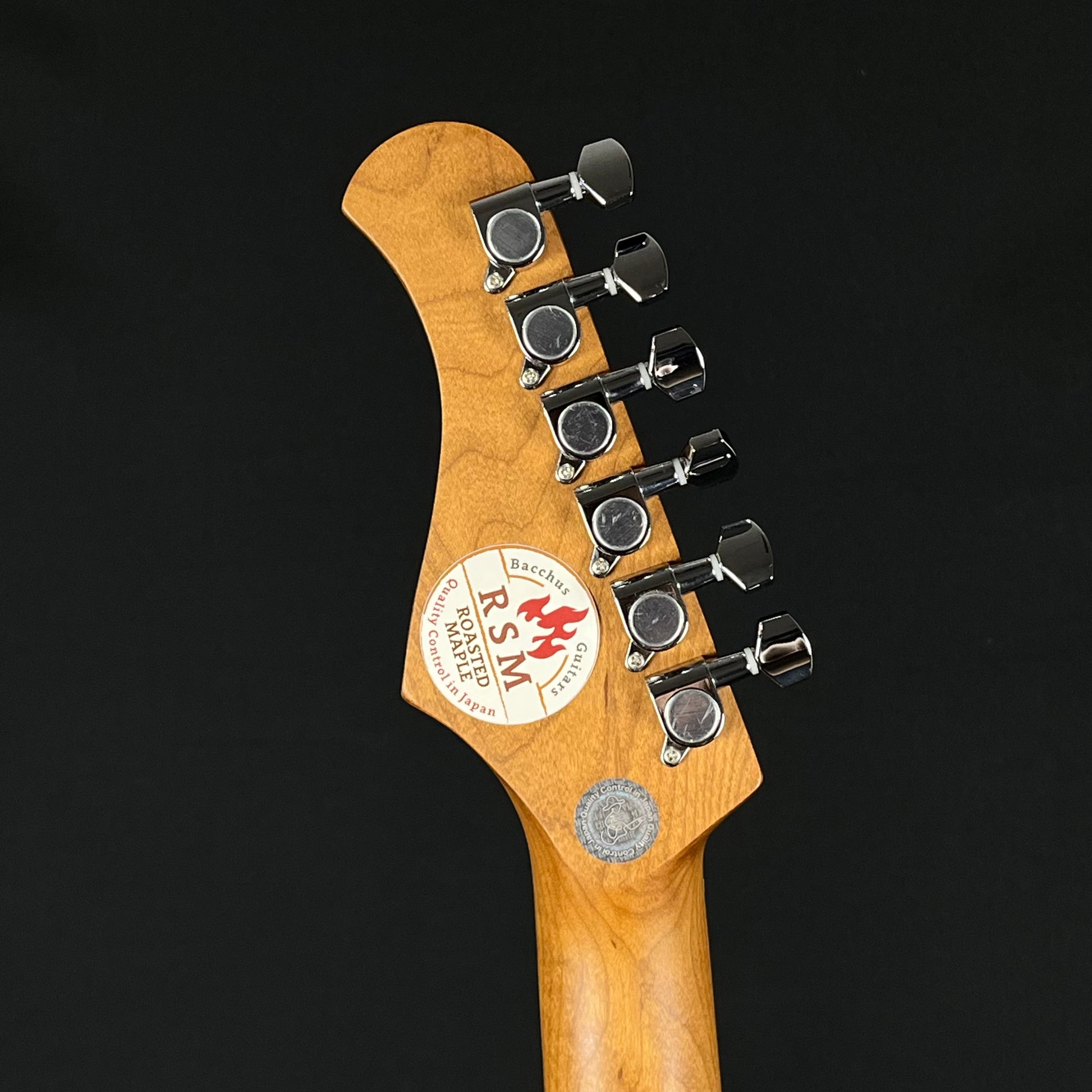 Bacchus Universe Series Stratocaster * PU MOD *