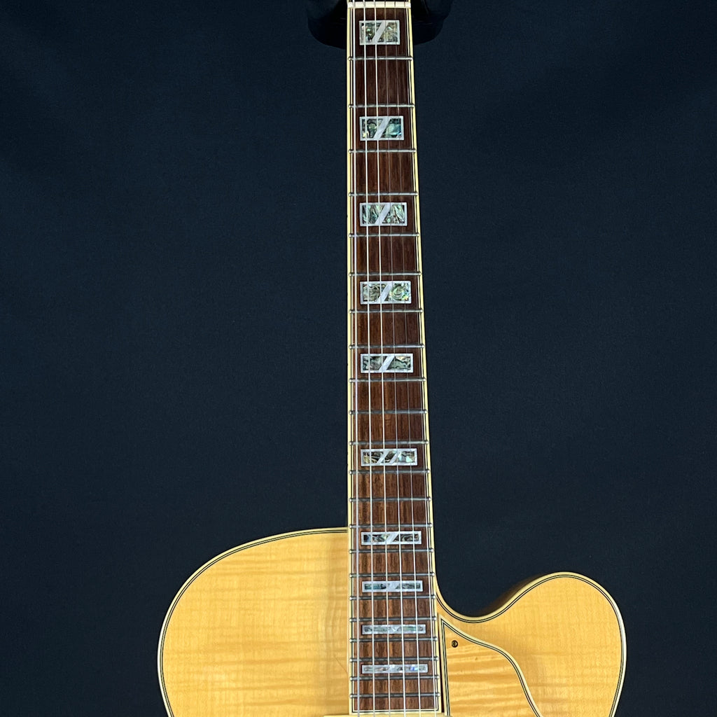 Ibanez AF105-NT