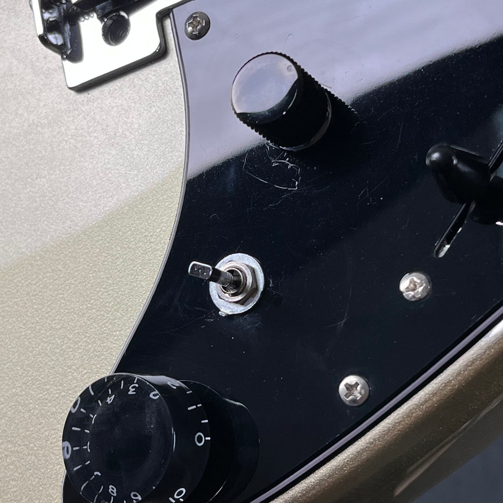 Bacchus Universe Series Stratocaster * PU MOD *
