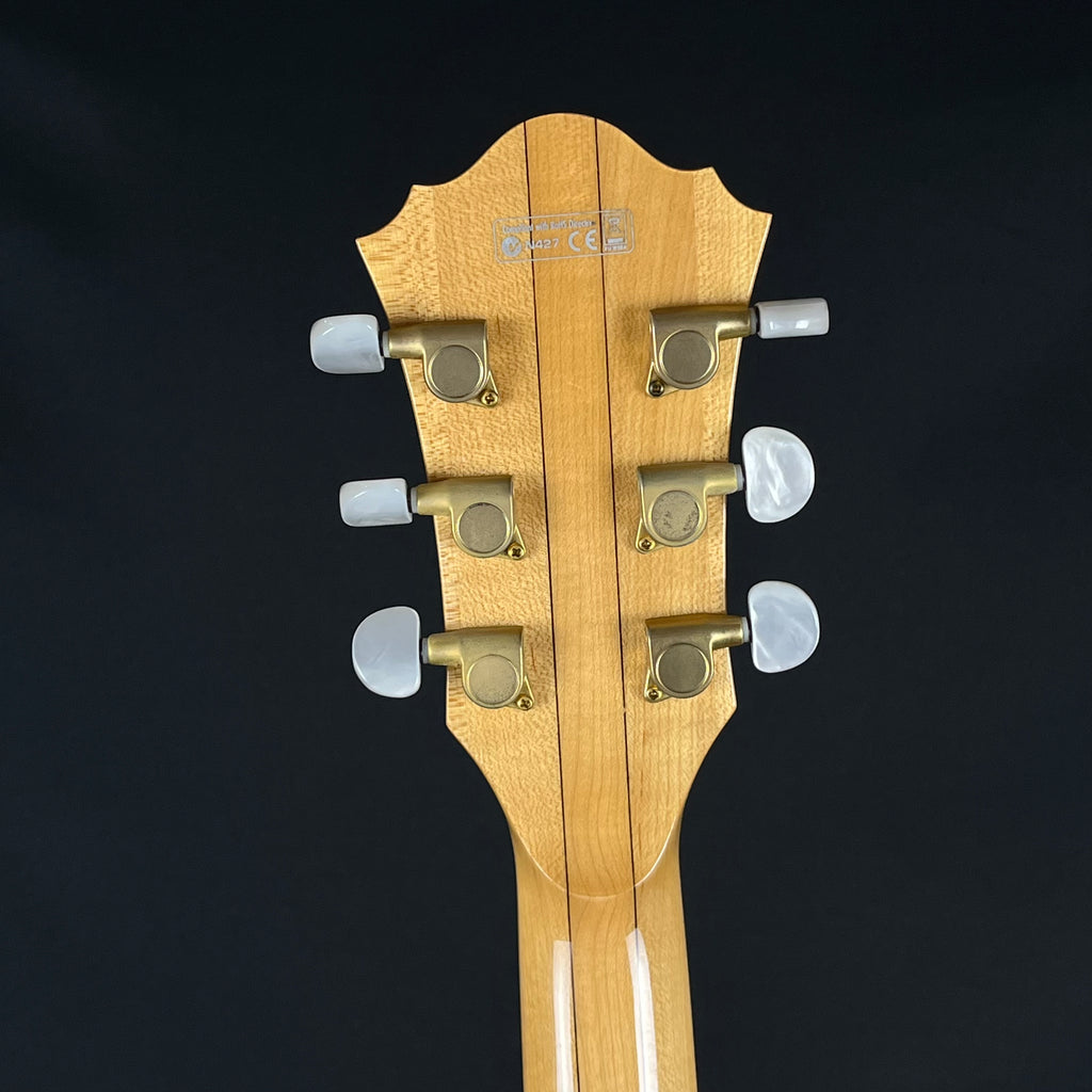 Ibanez AF105-NT