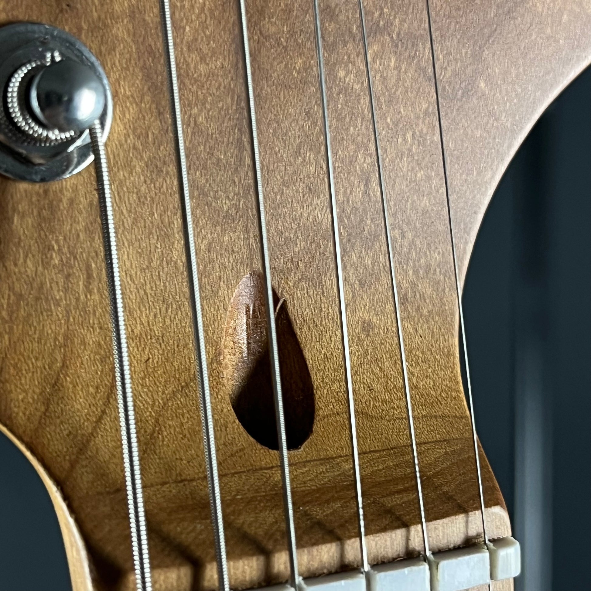 Bacchus Universe Series Stratocaster * PU MOD *