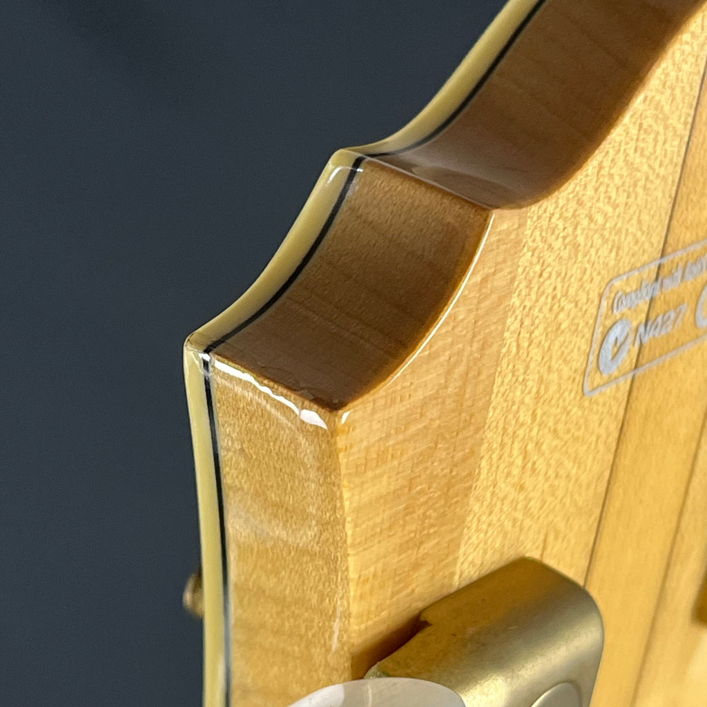 Ibanez AF105-NT