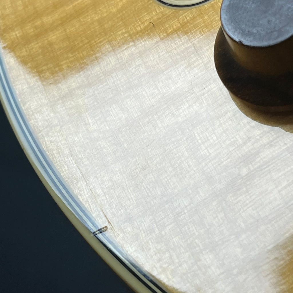 Ibanez AF105-NT