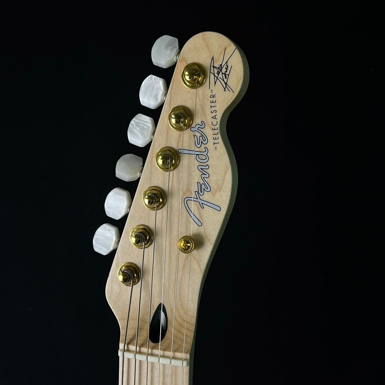 Fender Japan Richie Kotzen Telecaster