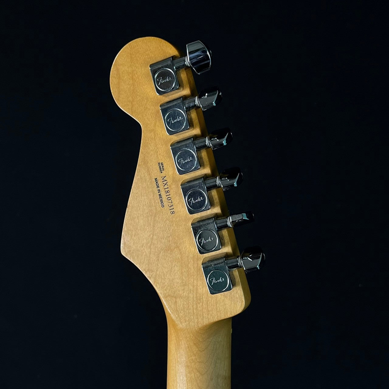 Fender Player Plus Top Stratocaster