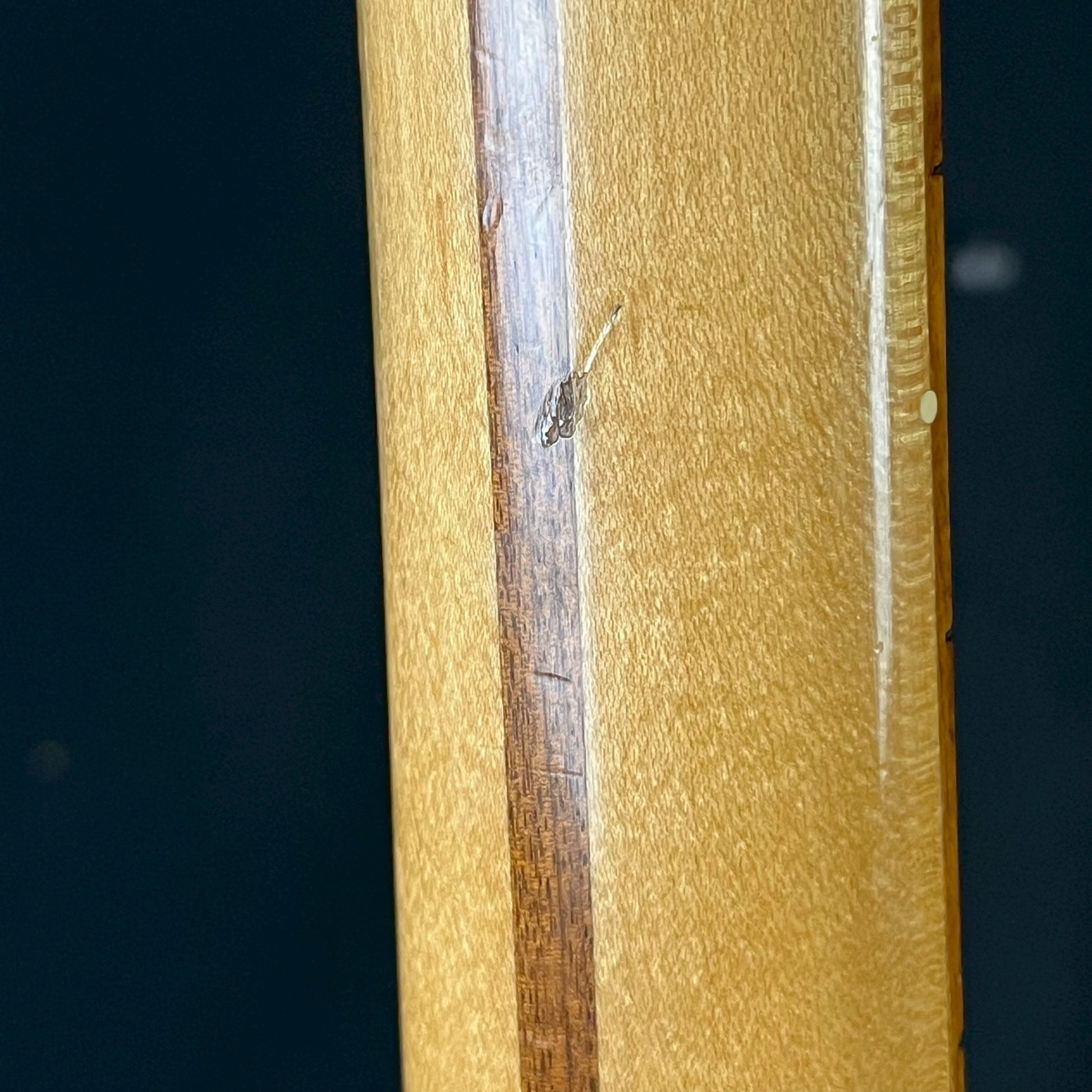 Fender Mexico Stratocaster
