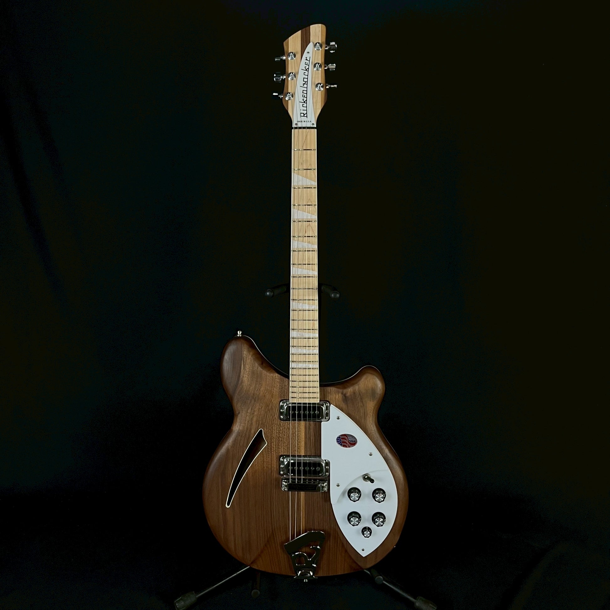 Rickenbacker 360W
