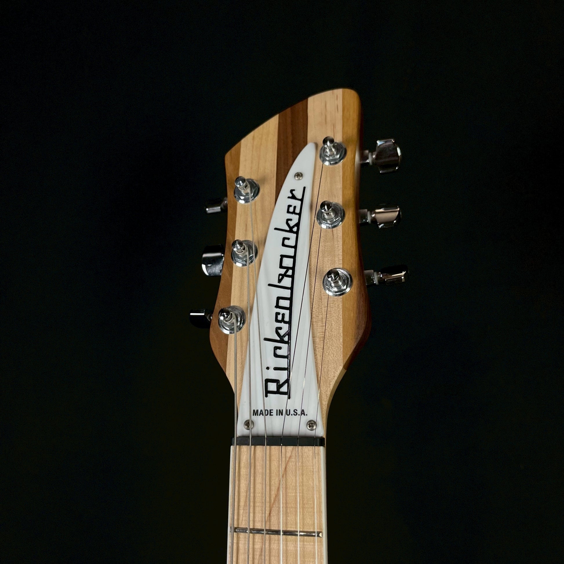 Rickenbacker 360W