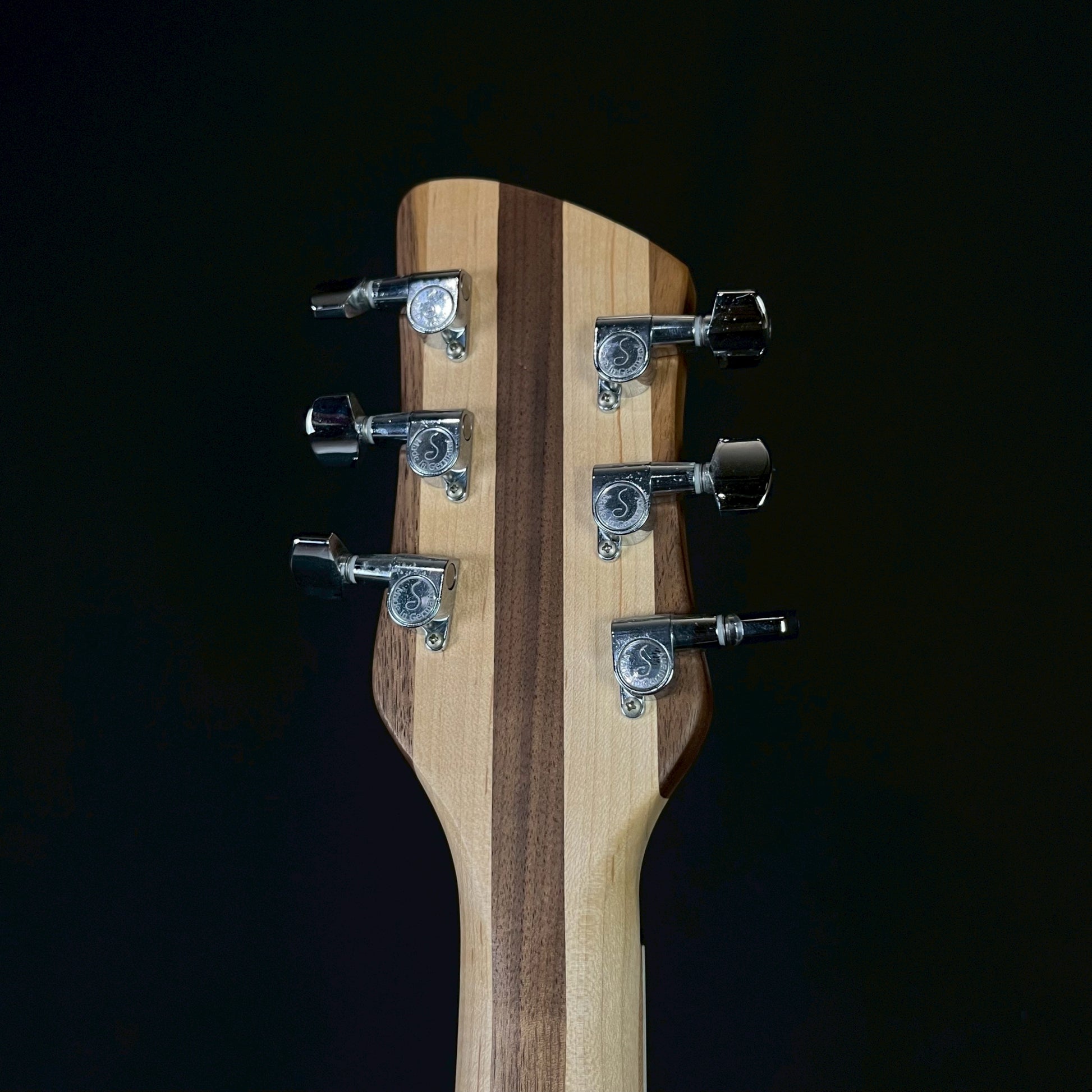 Rickenbacker 360W