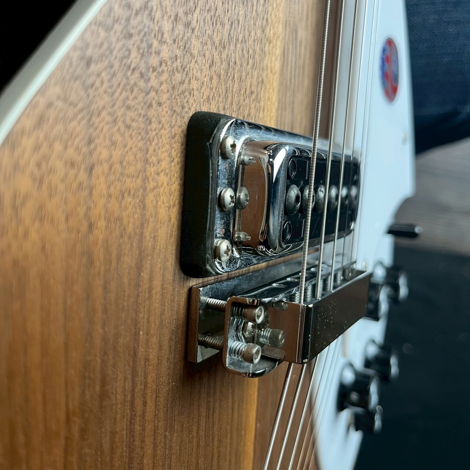 Rickenbacker 360W