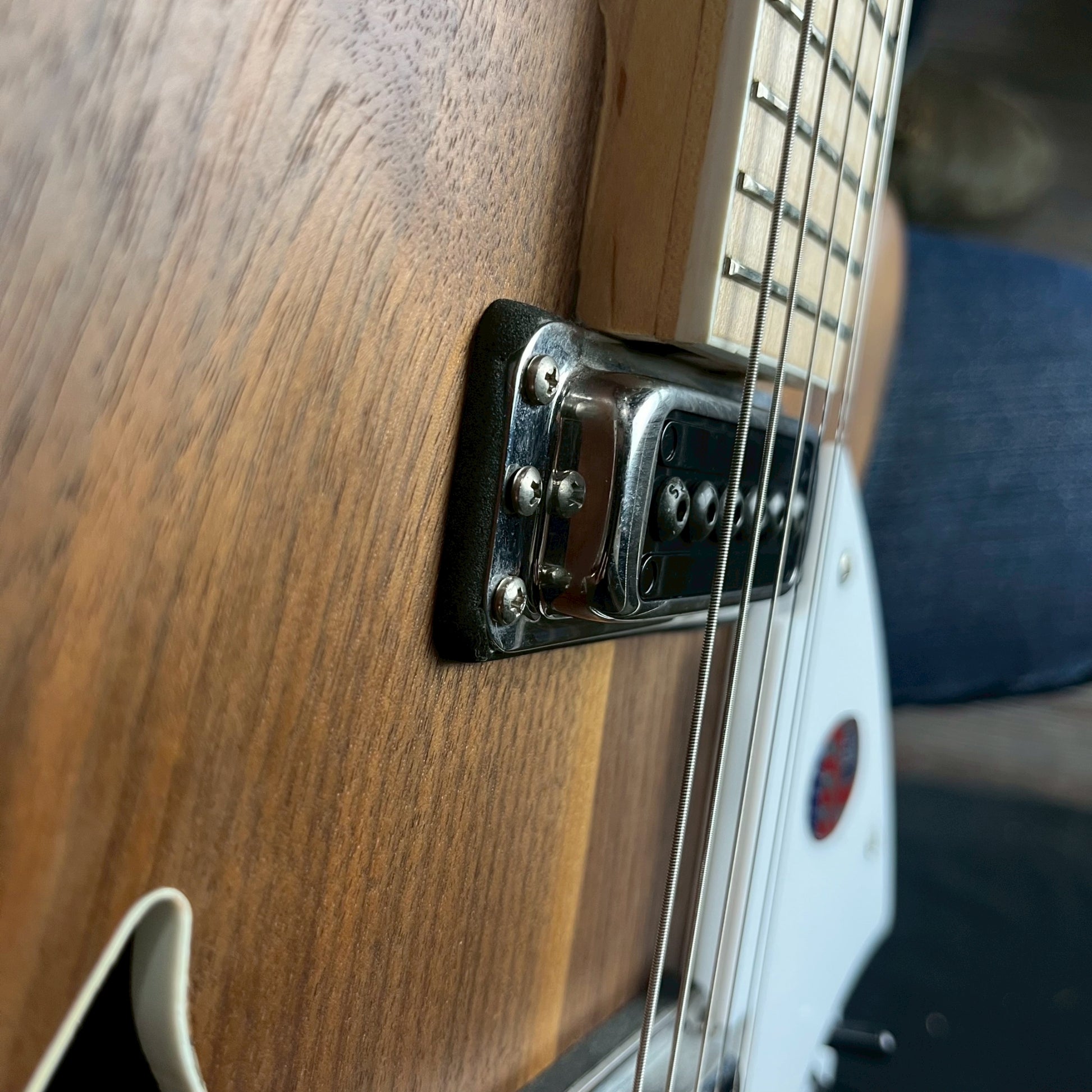 Rickenbacker 360W
