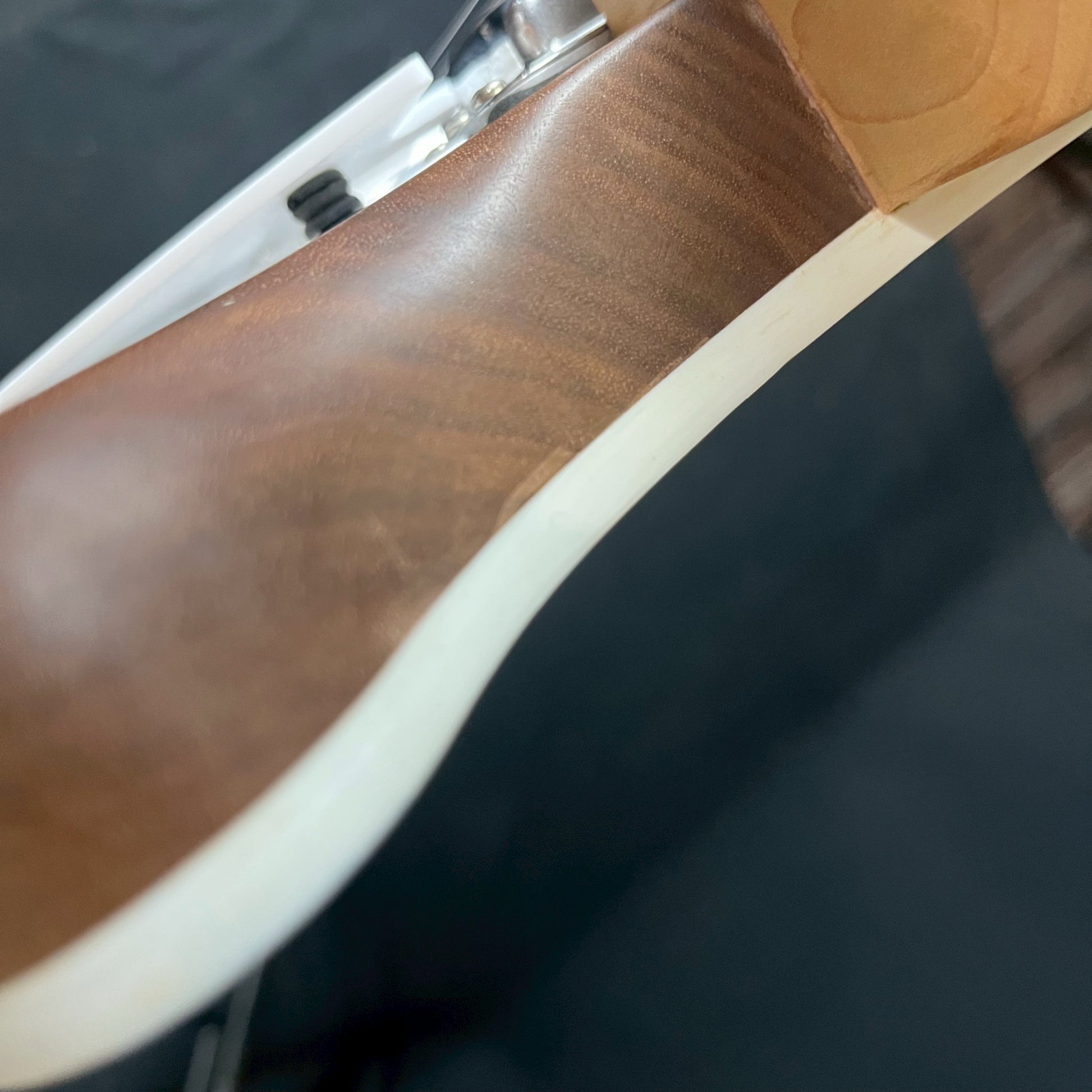Rickenbacker 360W