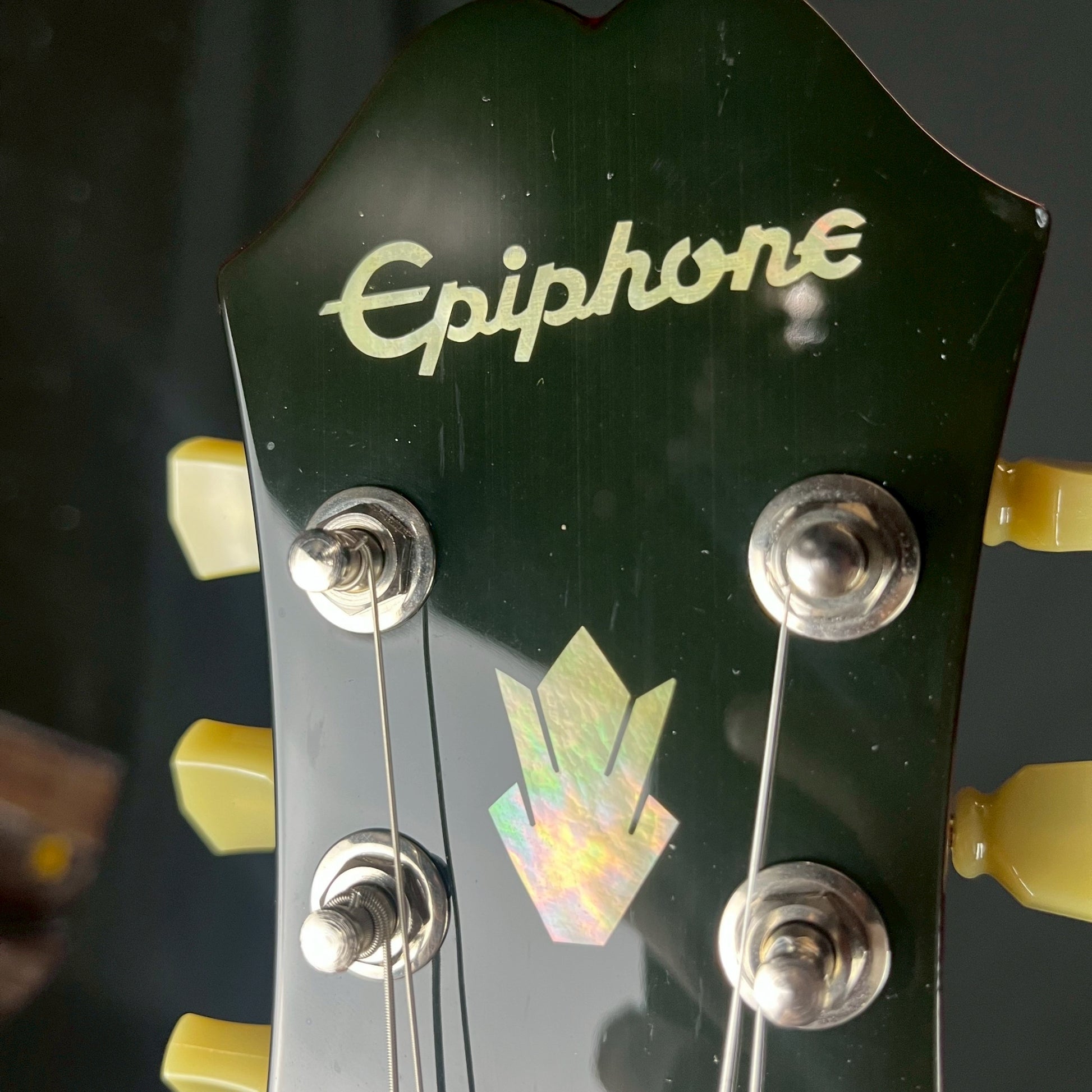 Epiphone DOT  ES-339 CH