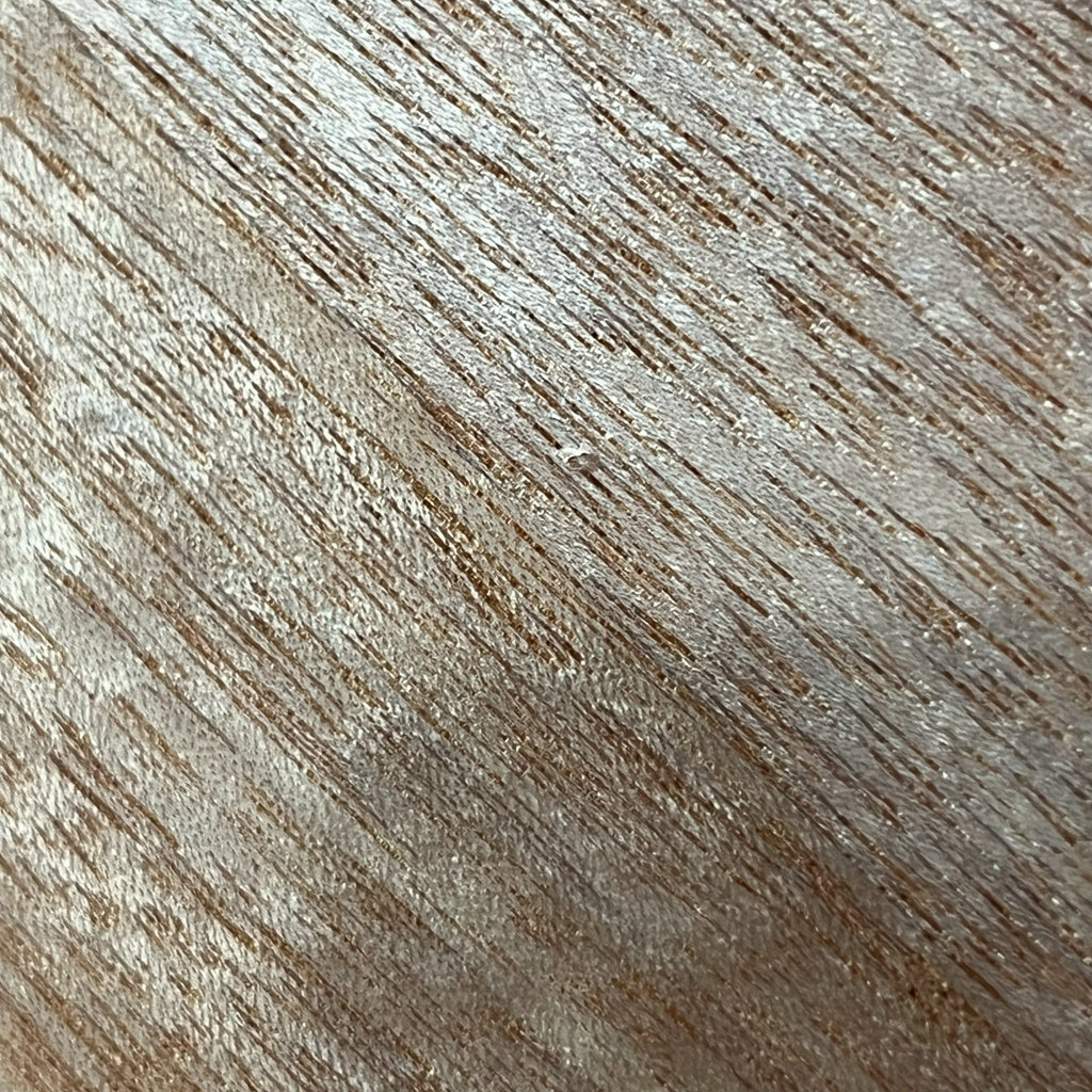 PRS SE CE 24 2023
