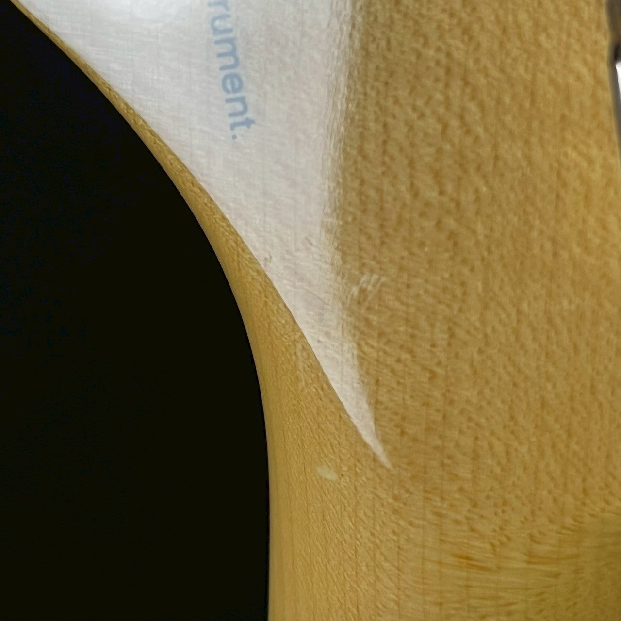 Fujigen Japan Neo Classic Stratocaster