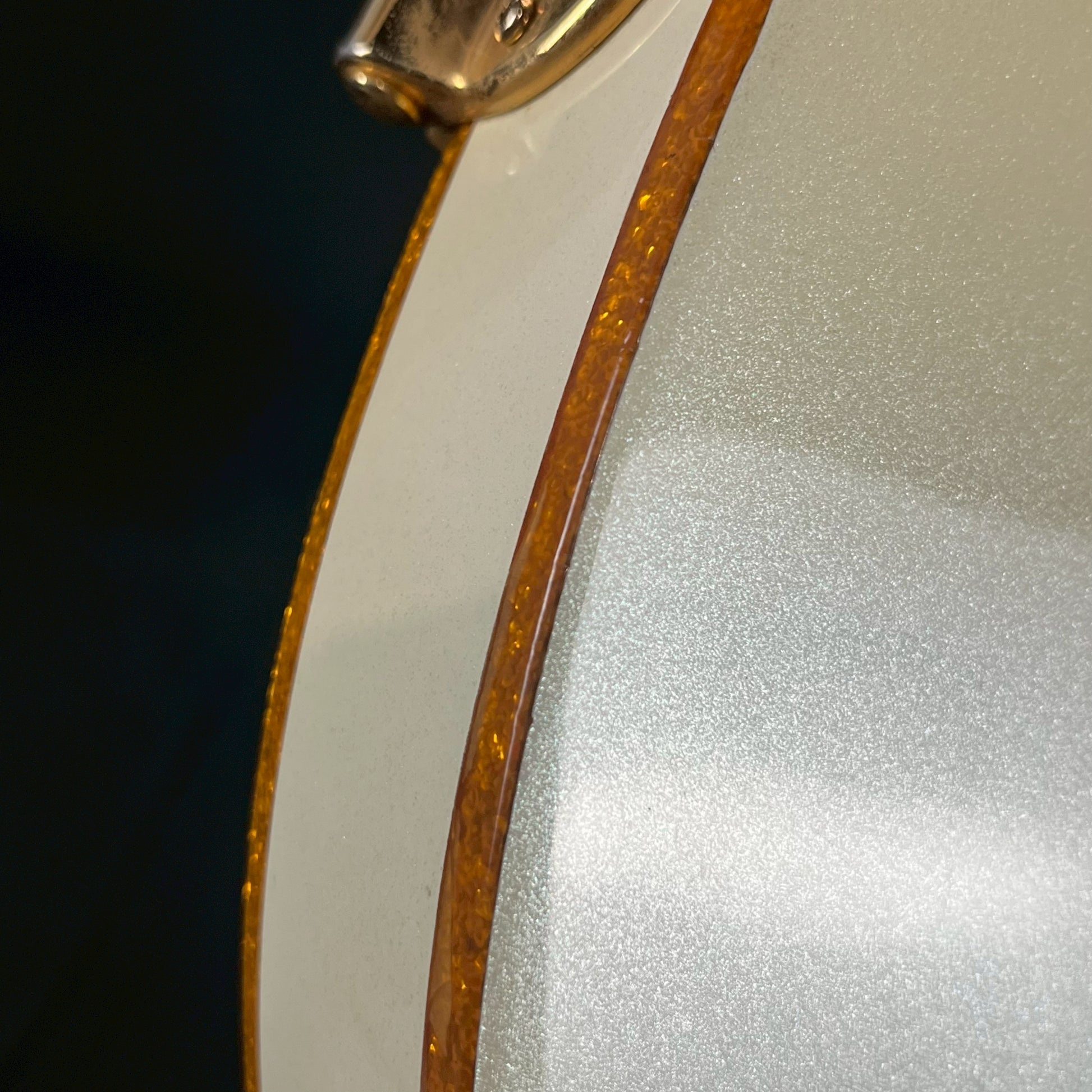 Epiphone Riviera Custom P93 PW