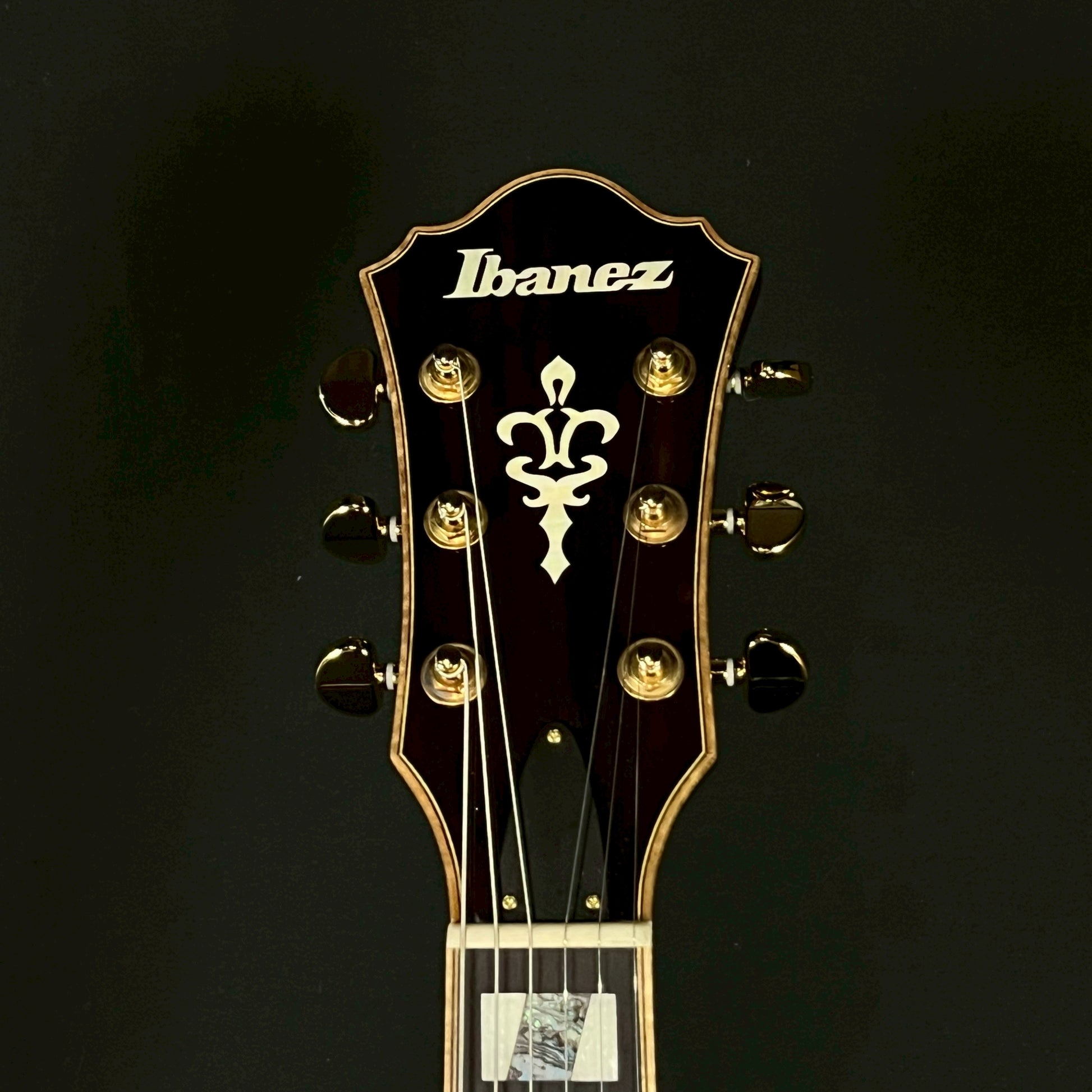 Ibanez SJ300-DVS