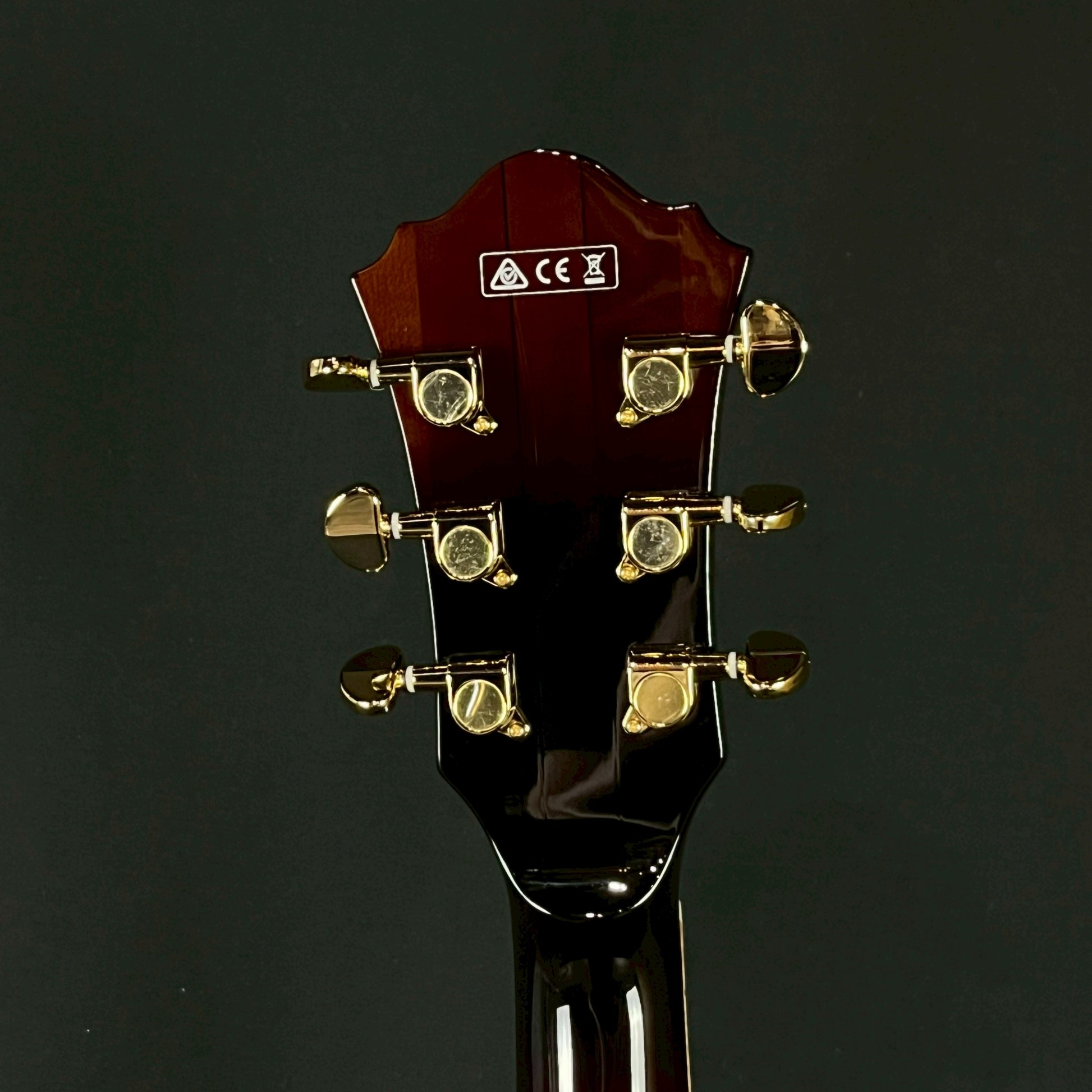Ibanez SJ300-DVS