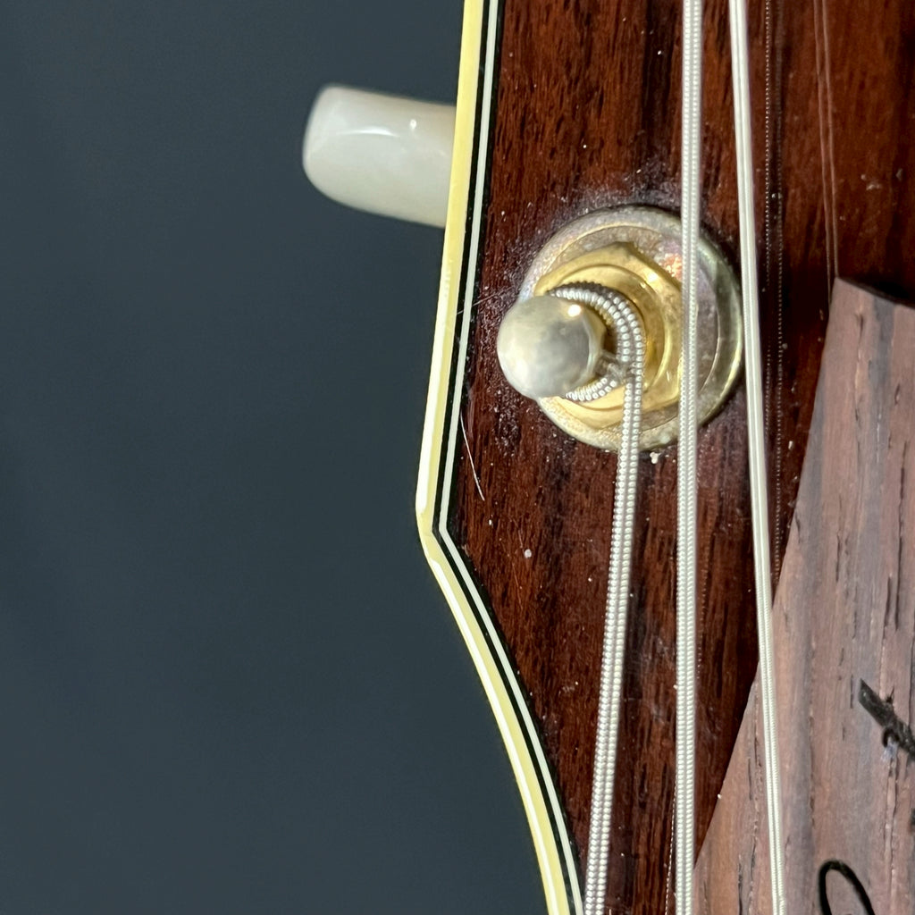 Ibanez AS103-NT