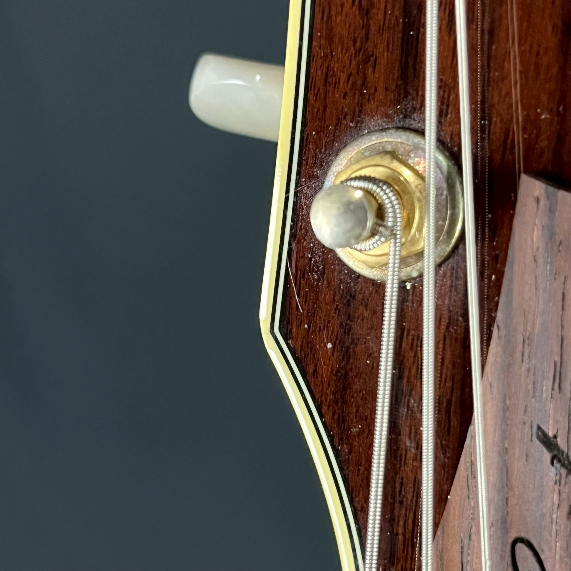 Ibanez AS103-NT
