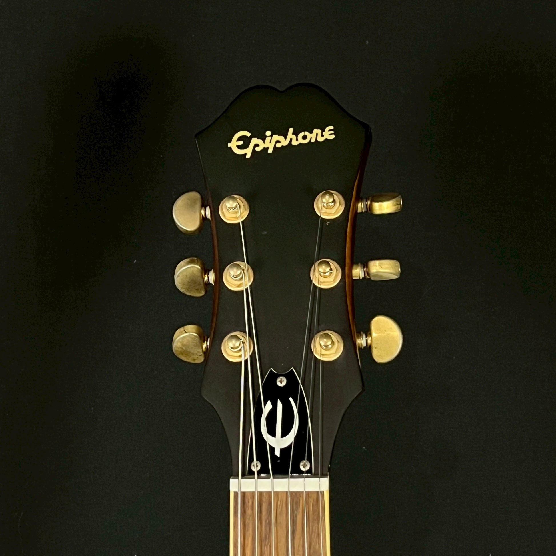 Epiphone Casino E230TD Insp By John Lennon 2010