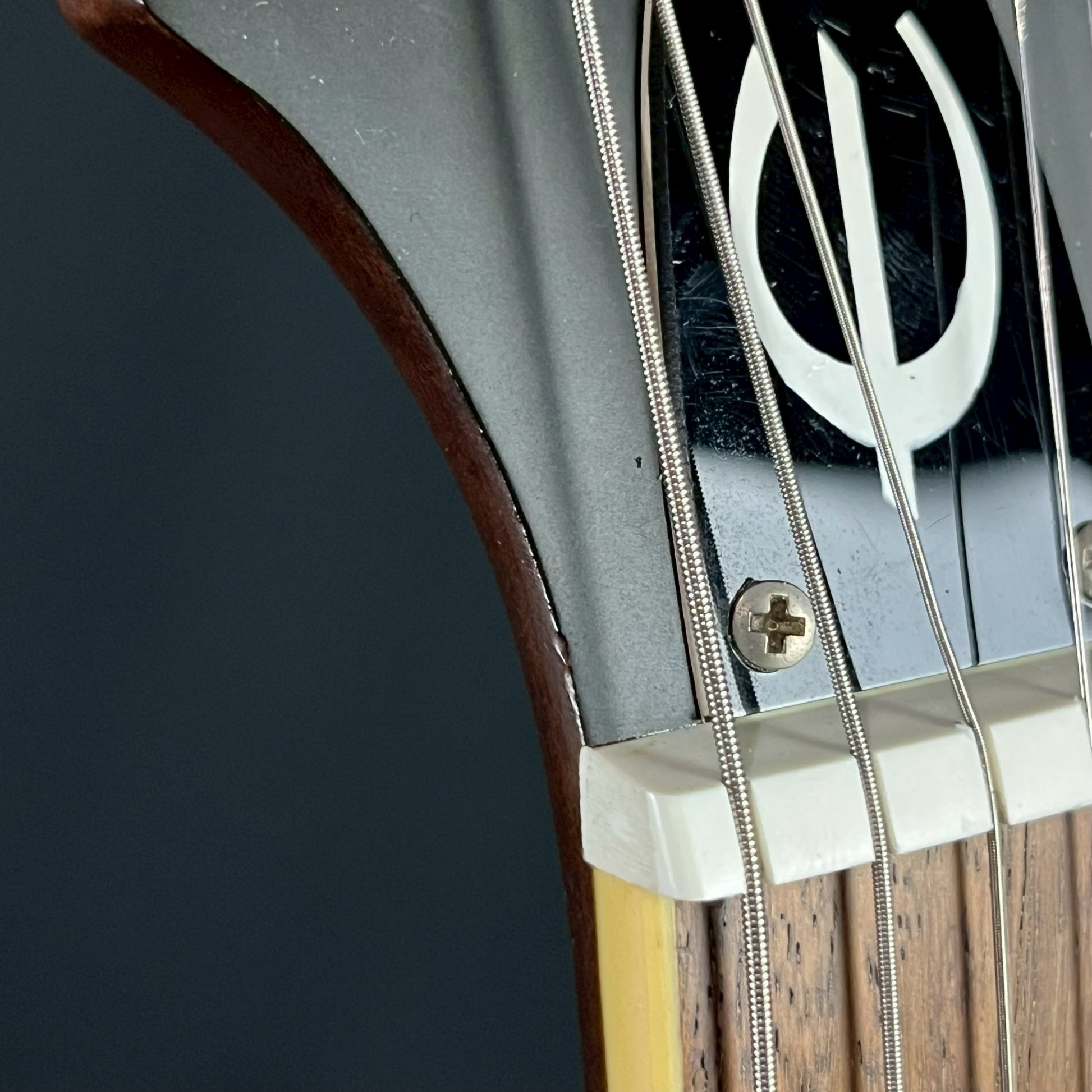 Epiphone Casino E230TD Insp By John Lennon 2010