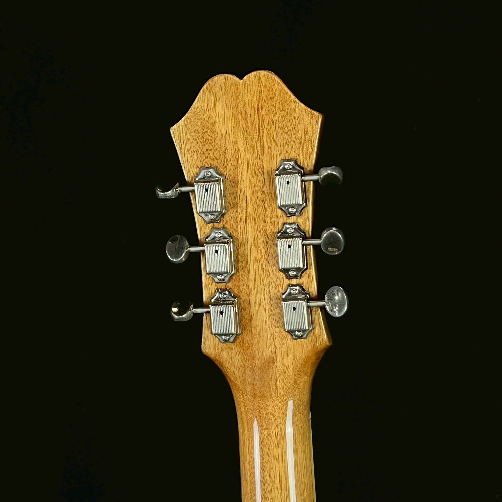 Epiphone Casino NA