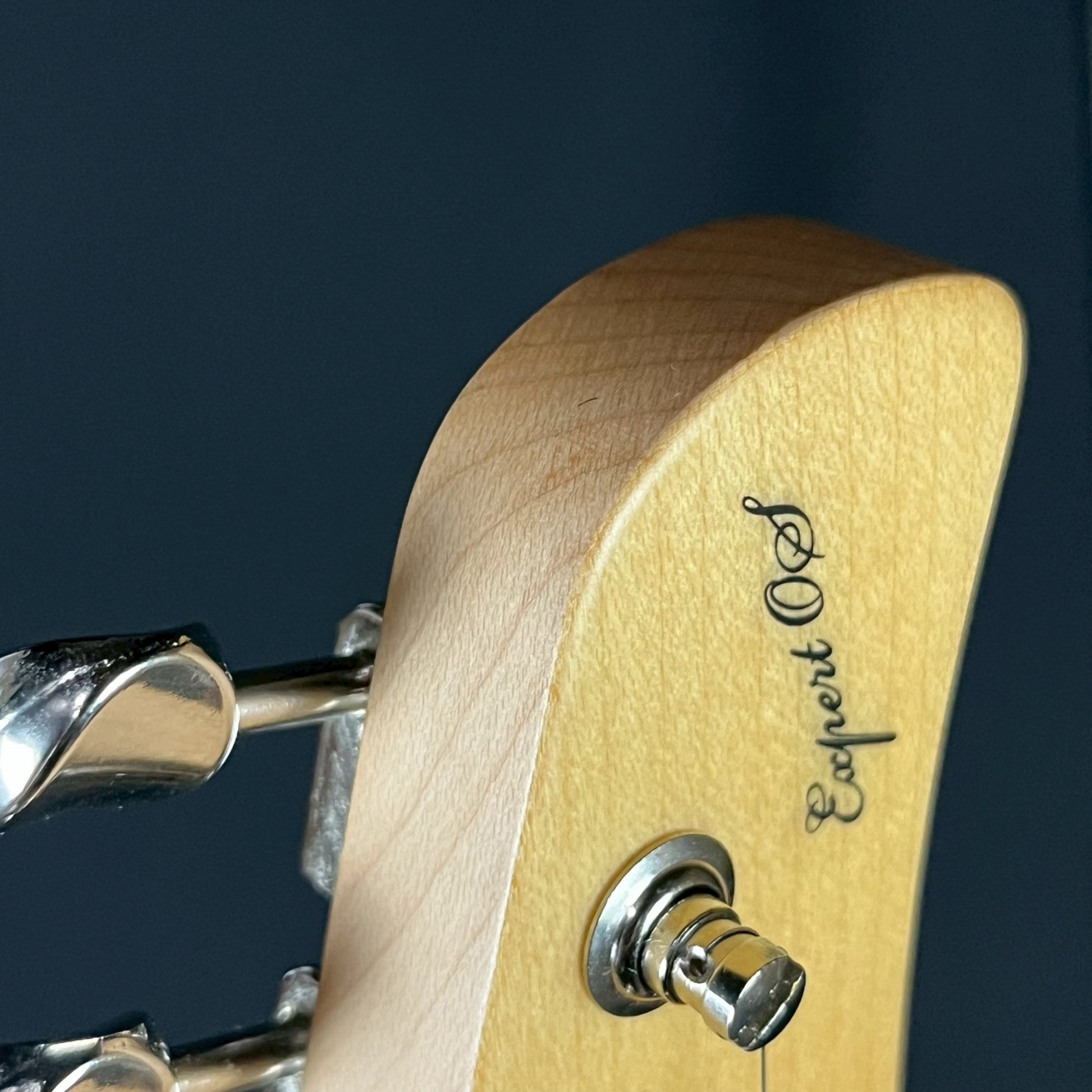 FGN Japan EOS-ASH-R