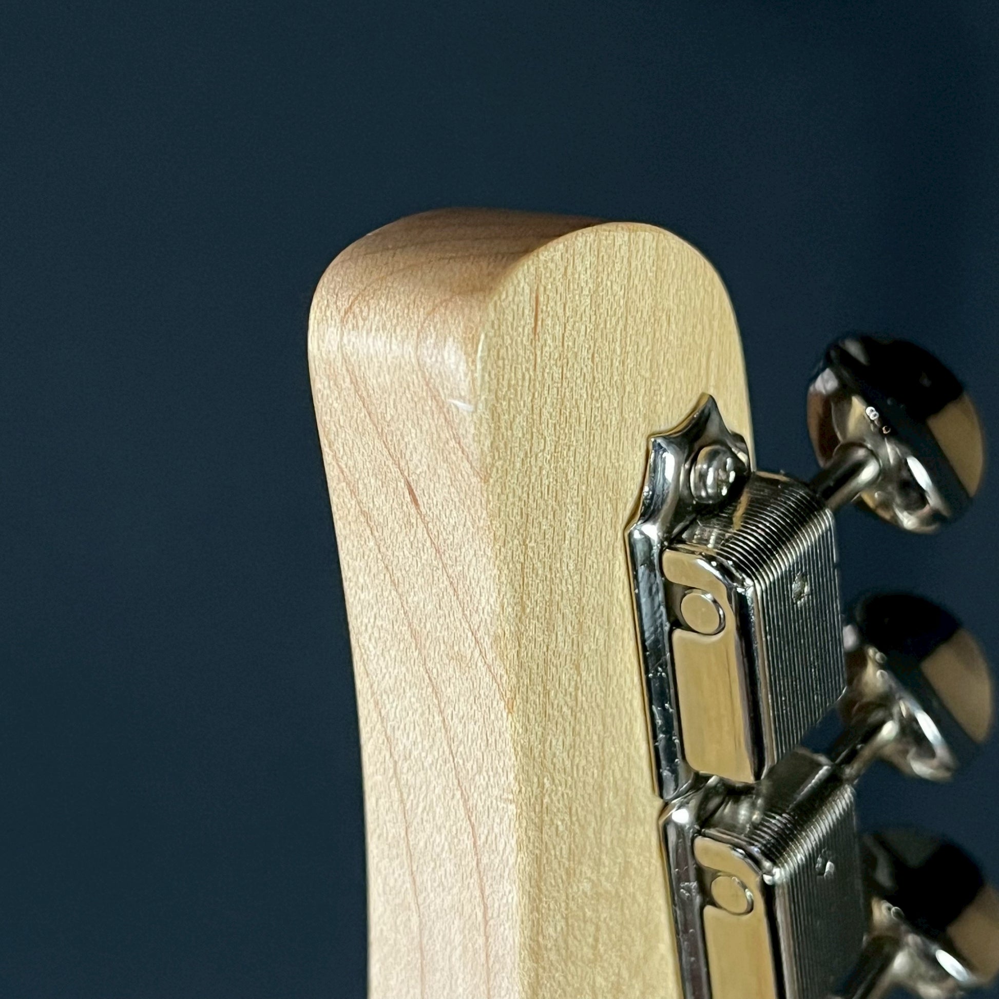 FGN Japan EOS-ASH-R