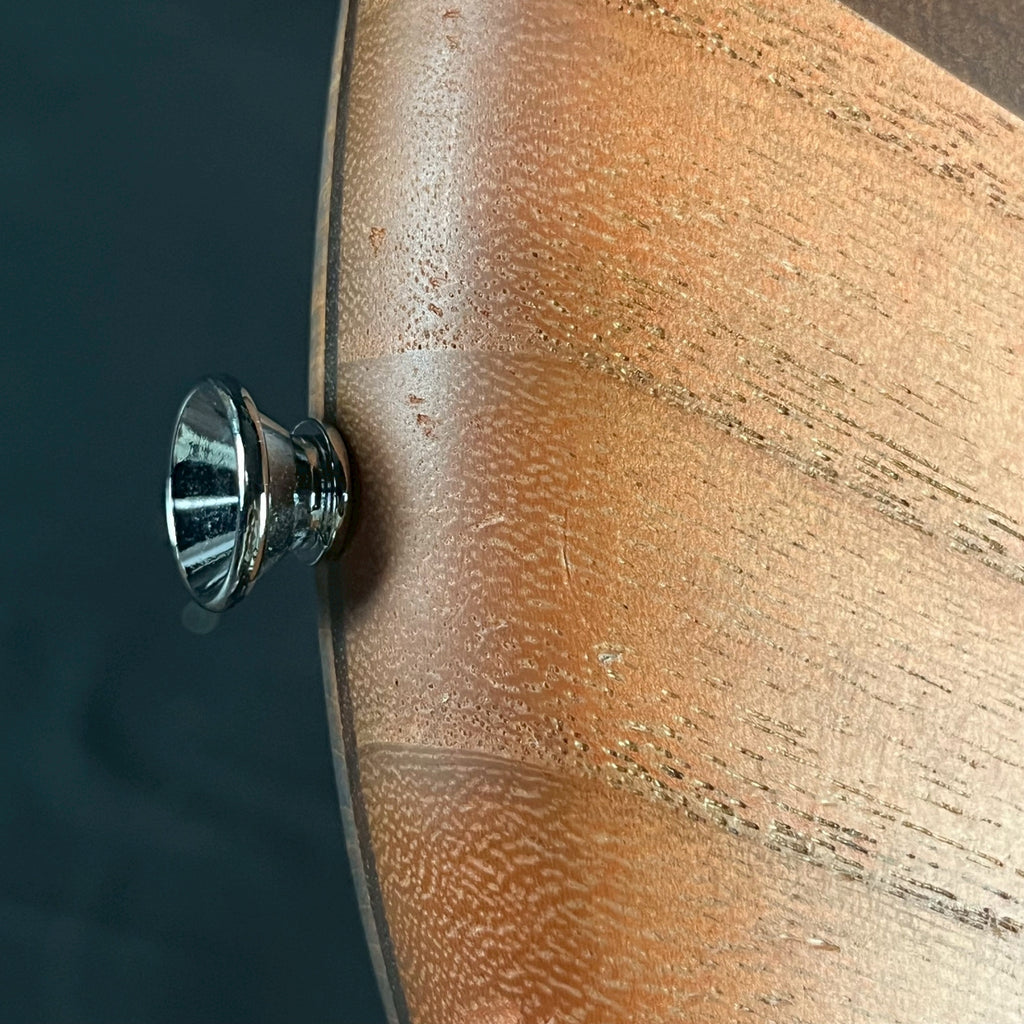 Spector Euro 4 RST Bass