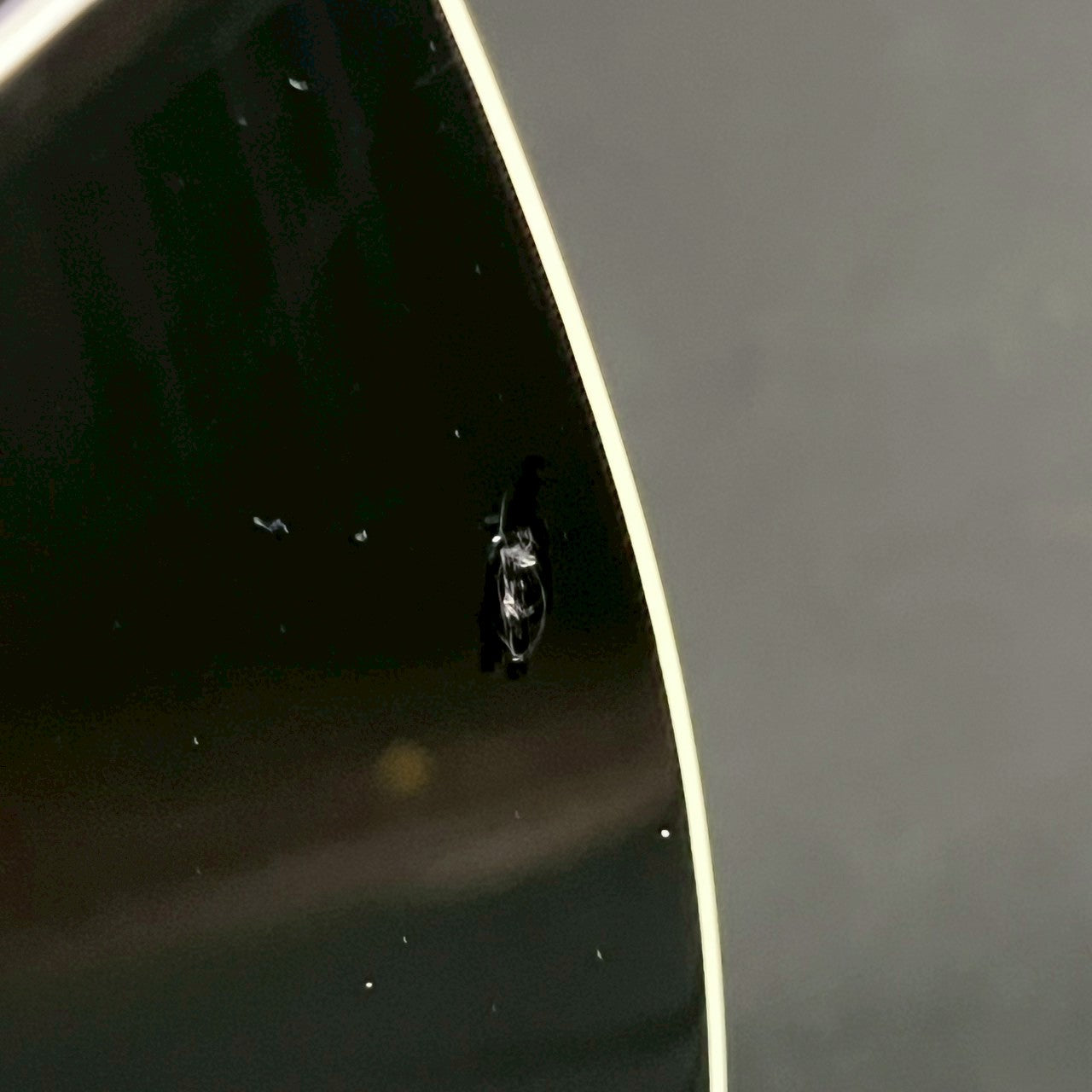 FERNANDES TEJ Limted Edition 2022